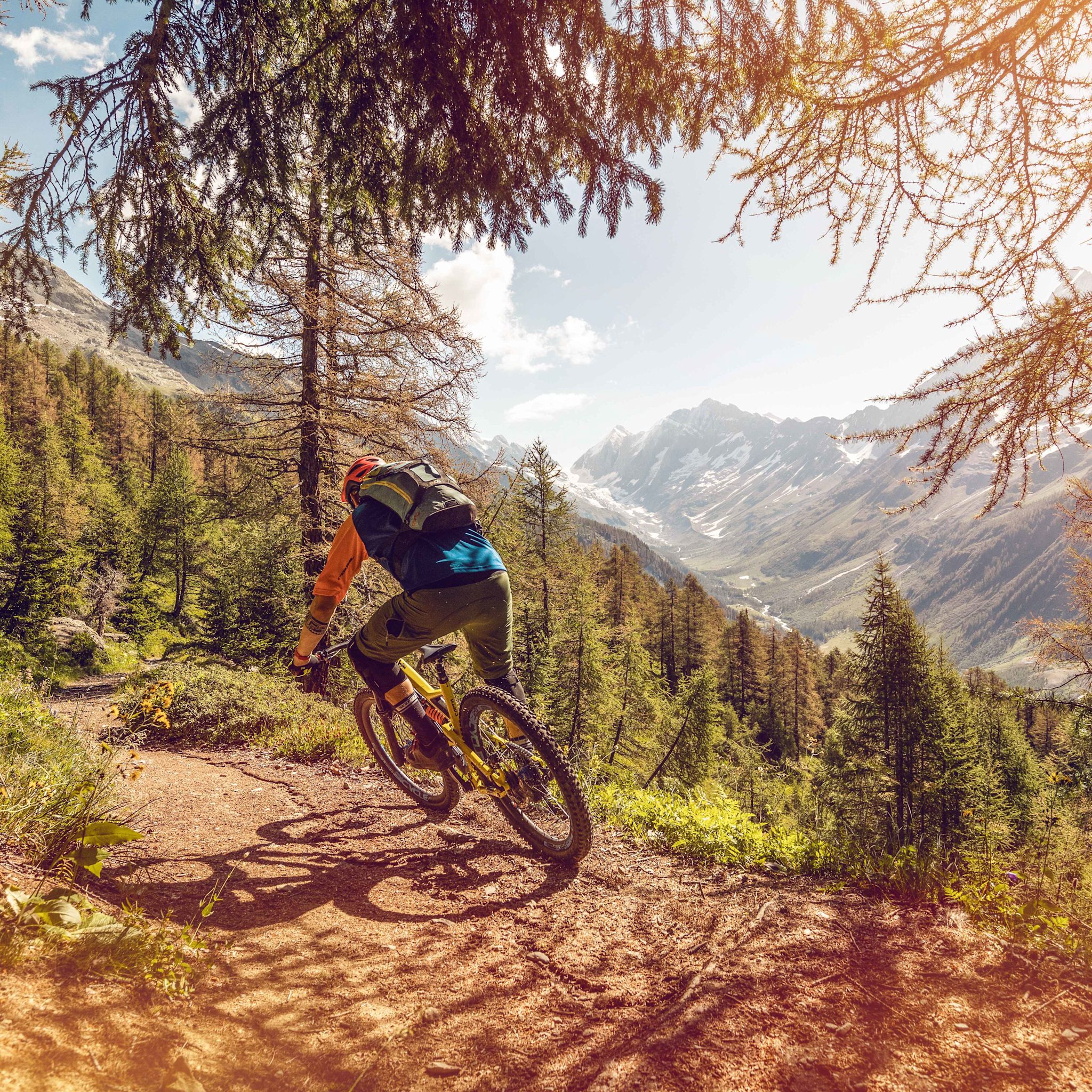 Moutainbike Loetschental, Wallis, Schweiz