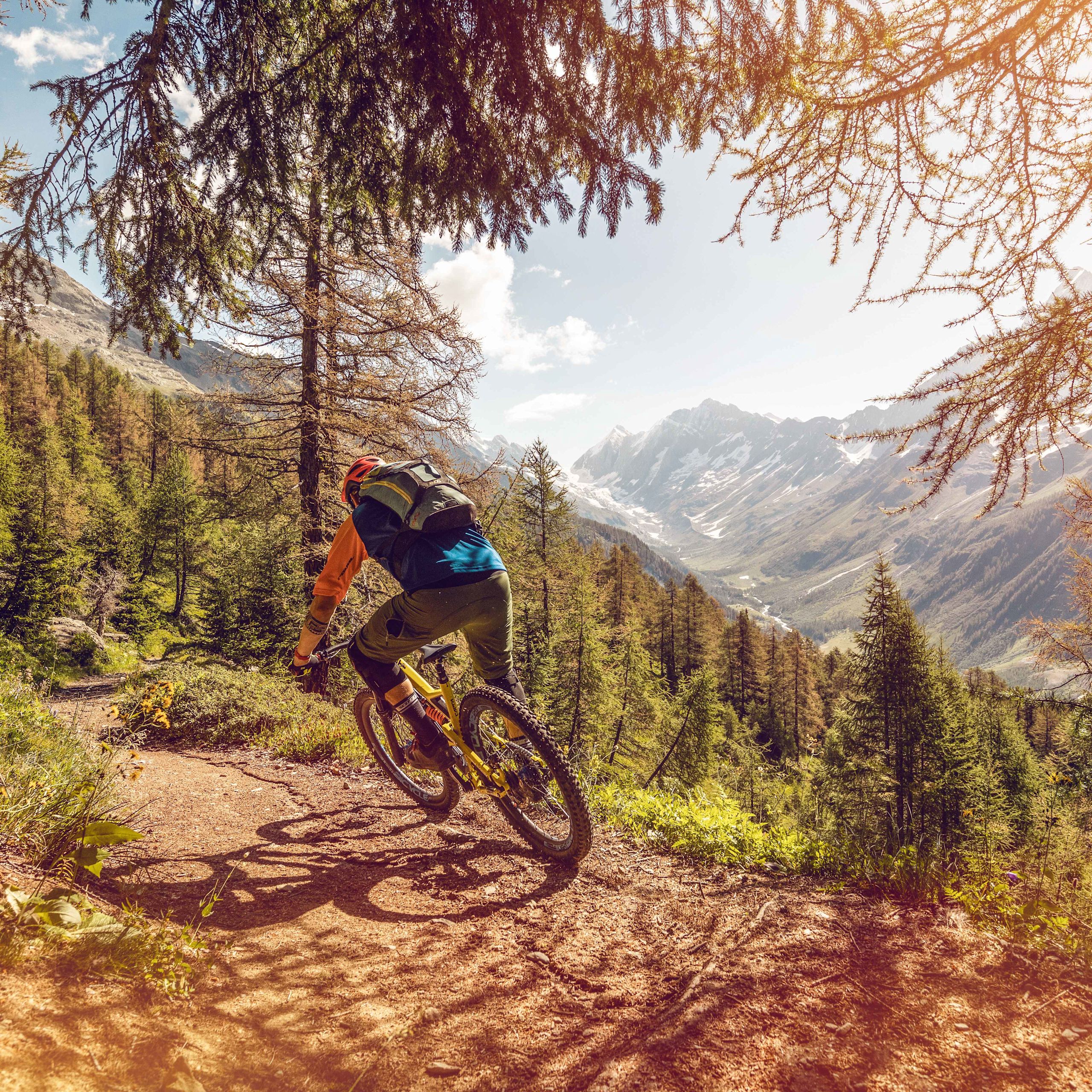 VTT Loetschental, Valais, suisse