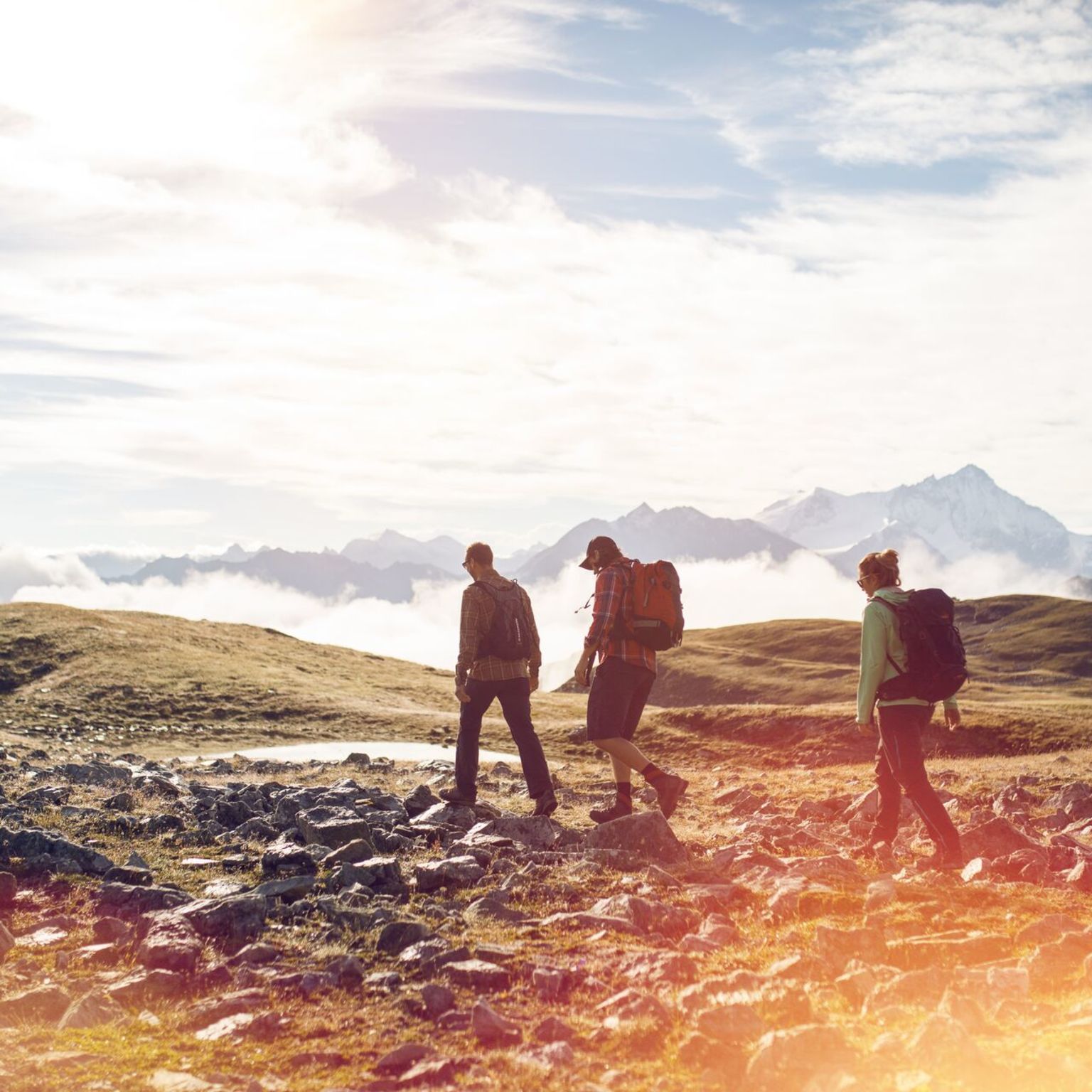 Group of hikers walking in the Vallon de Réchy with a view of the Valais Alps