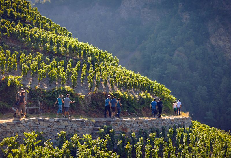 Vignobles Visperterminen, Valais