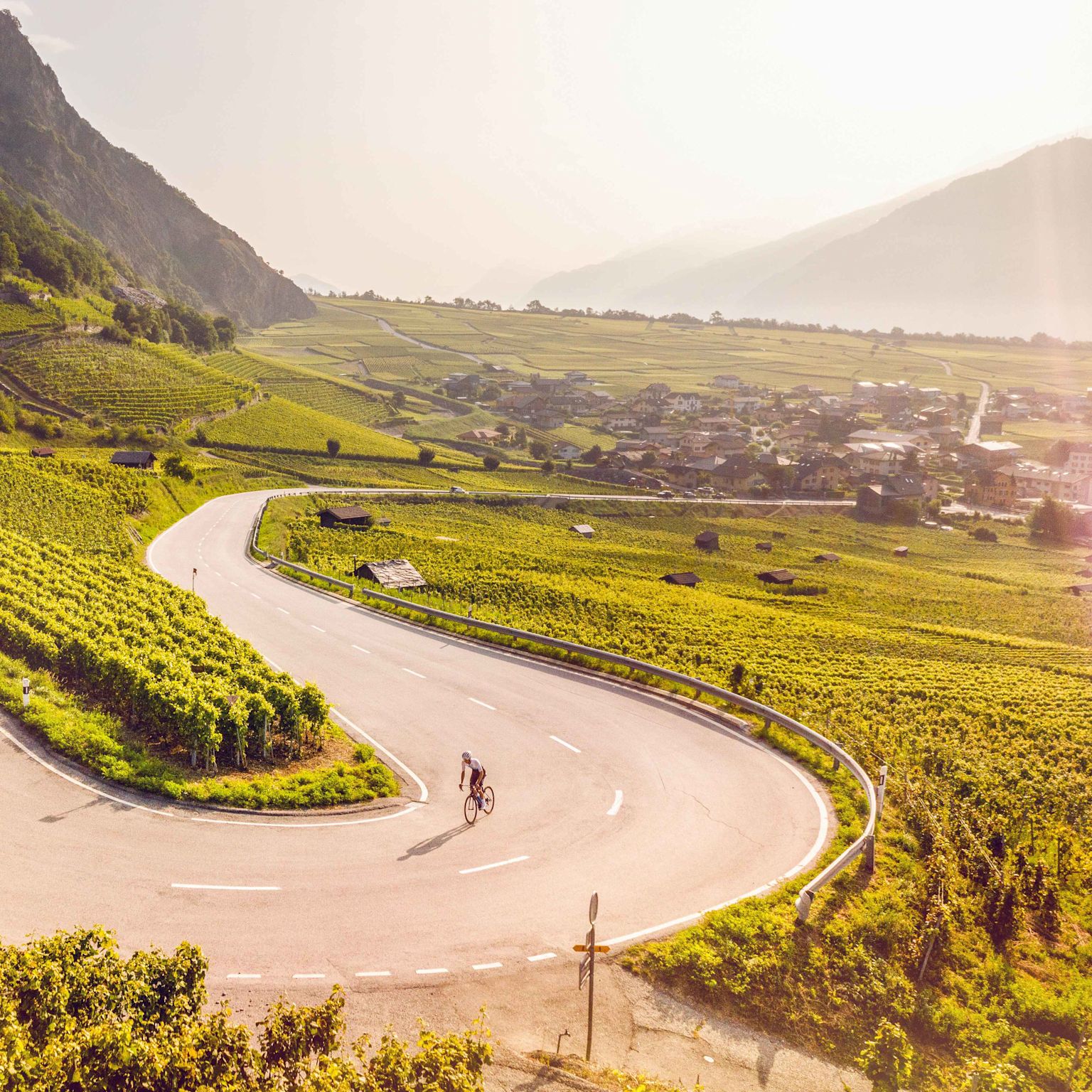 Ein Radfahrer fährt die Strasse von Leytron nach Ovronnaz hinauf und kann dabei die Aussicht auf die Walliser Weinberge geniessen. Wallis, Schweiz