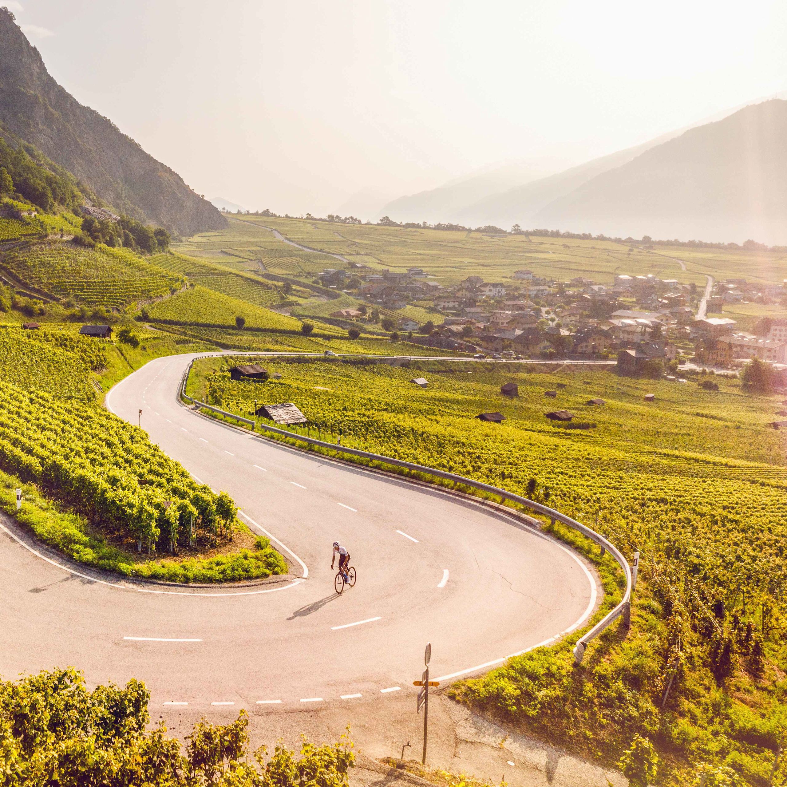 Ein Radfahrer fährt die Strasse von Leytron nach Ovronnaz hinauf und kann dabei die Aussicht auf die Walliser Weinberge geniessen. Wallis, Schweiz