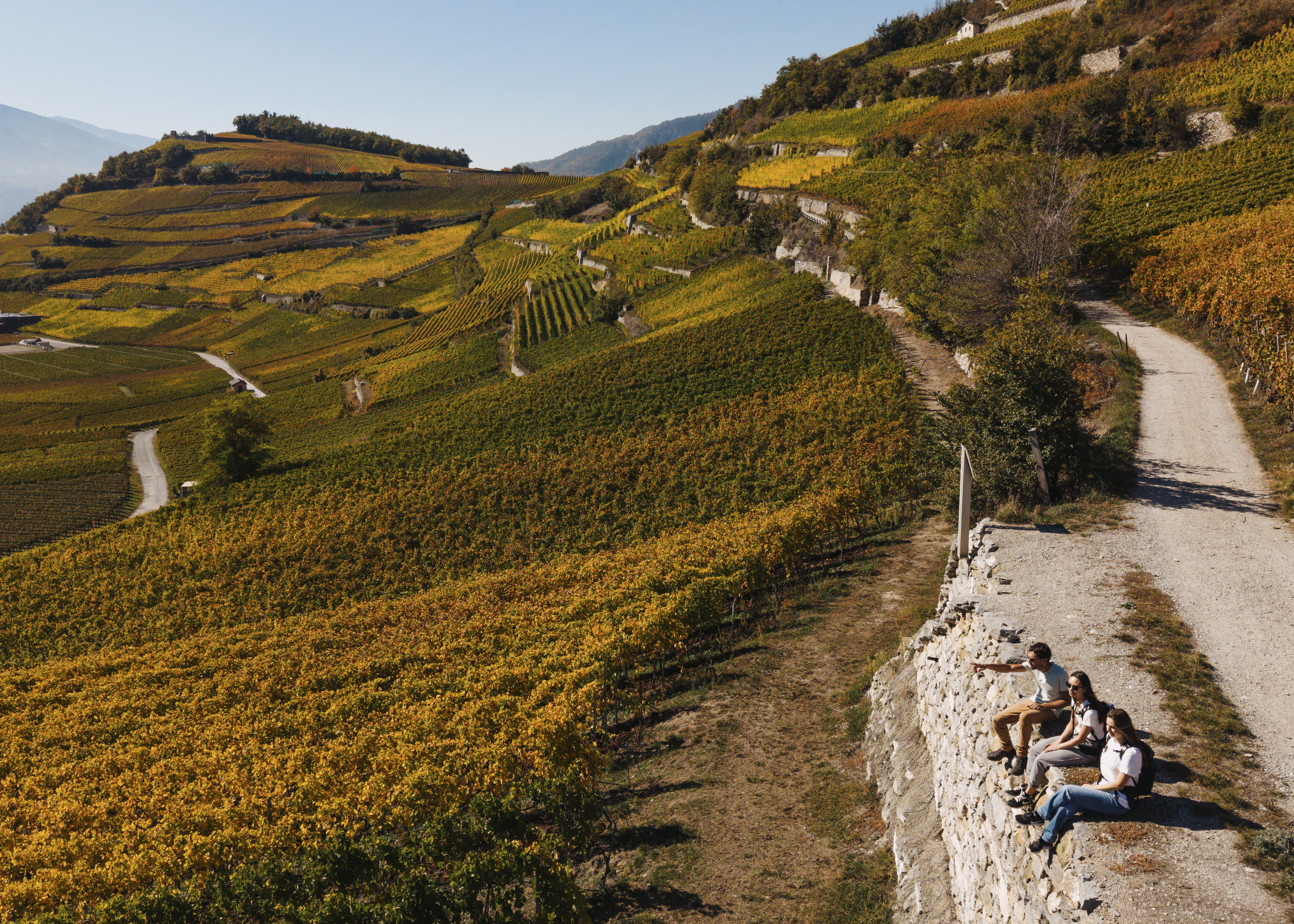 Trois personnes faisant une pause avec vue sur les vignobles en terrasses aux couleurs automnales entre Sierre et Salquenen, Valais, Suisse