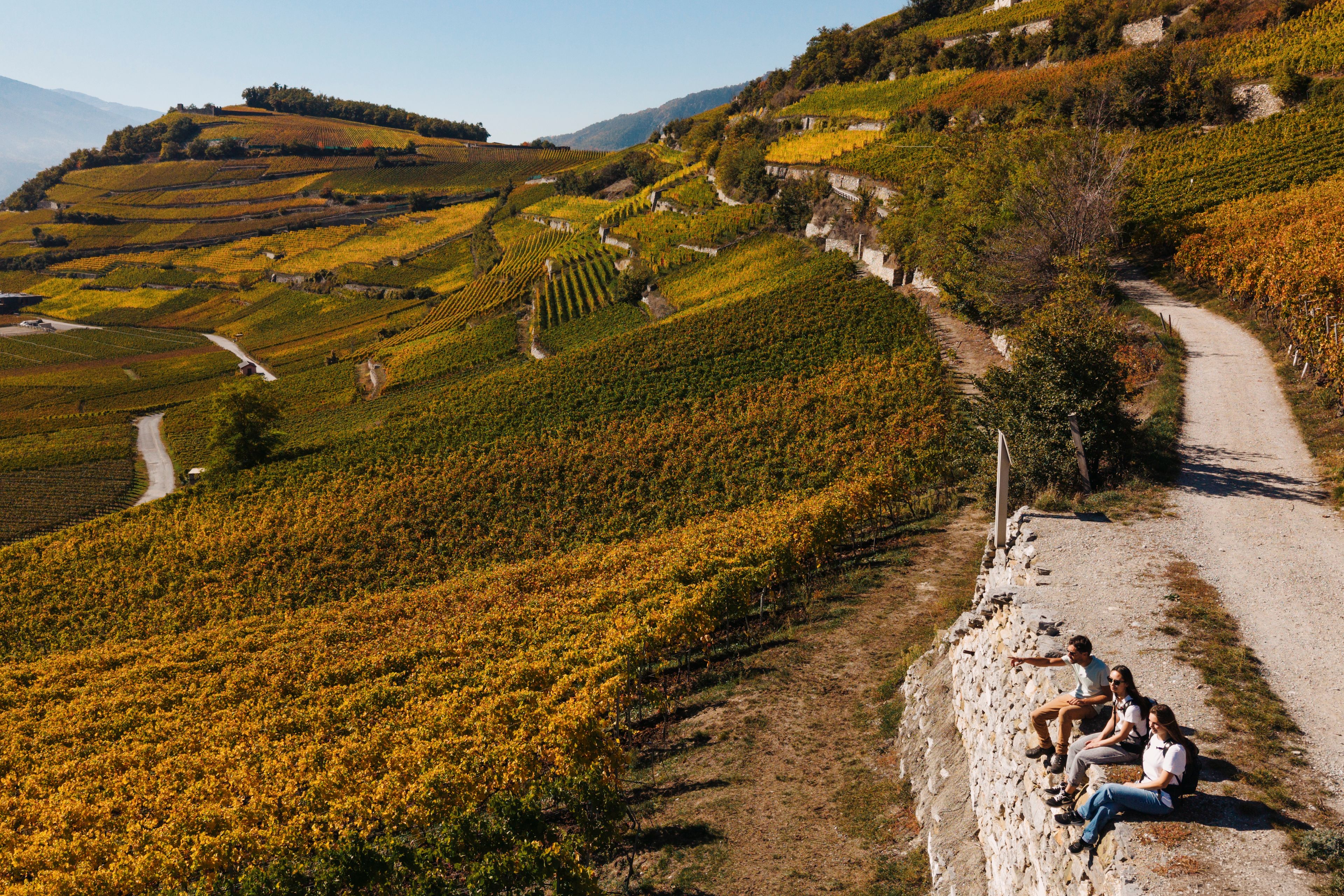 Trois personnes faisant une pause avec vue sur les vignobles en terrasses aux couleurs automnales entre Sierre et Salquenen, Valais, Suisse