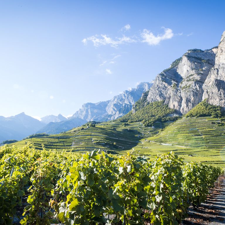 Chamoson - St-Pierre-de-Clages | Wallis Schweiz