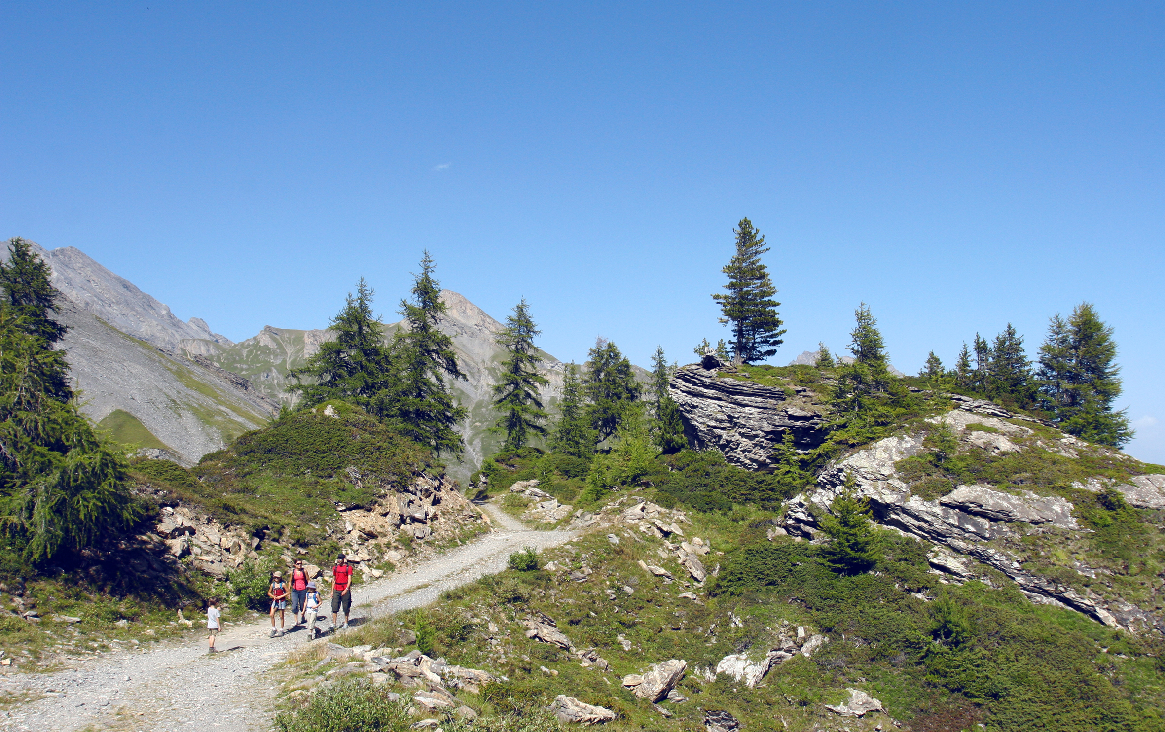 Hiking in the region around Ovronnaz, Valais