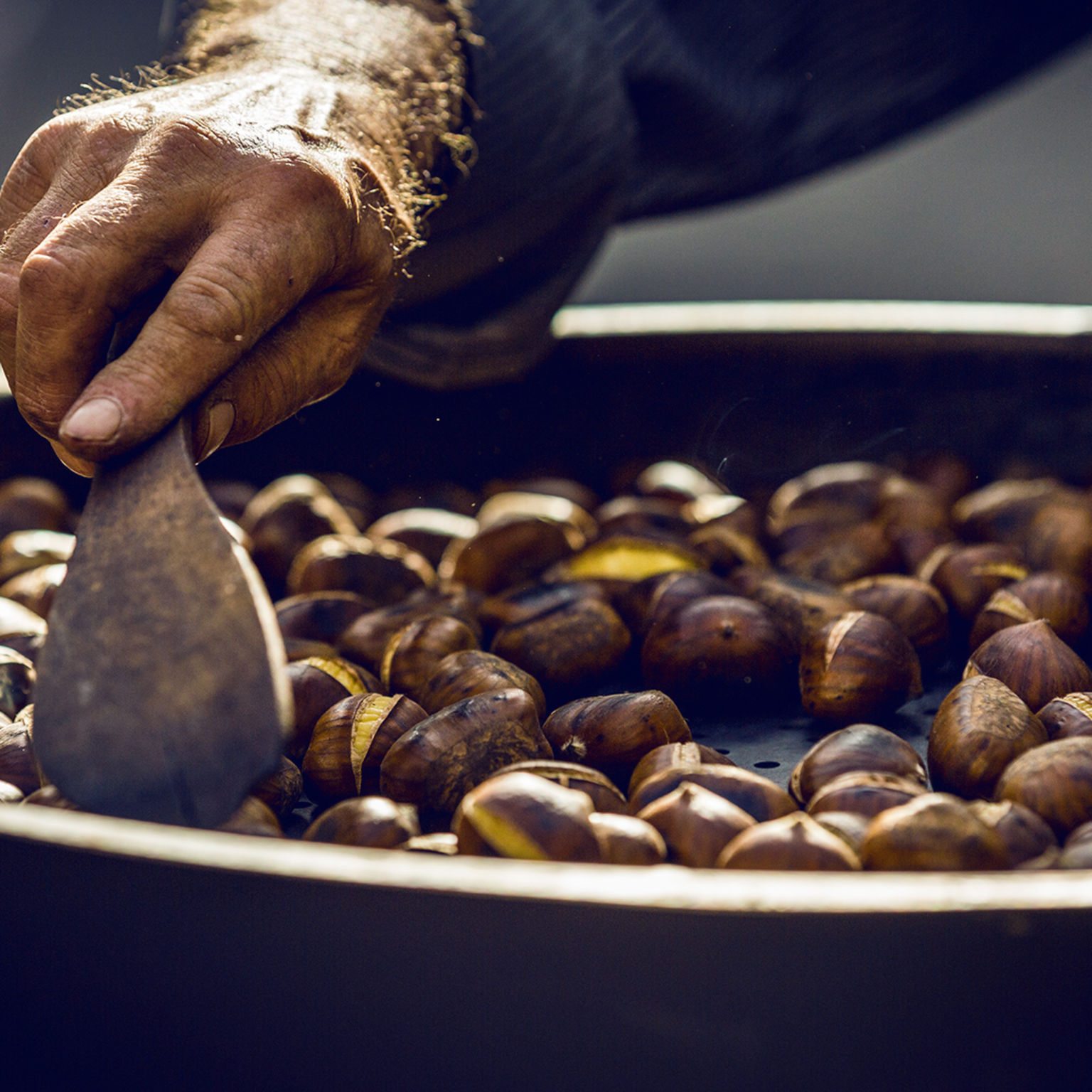 Chestnuts, summer, Valais