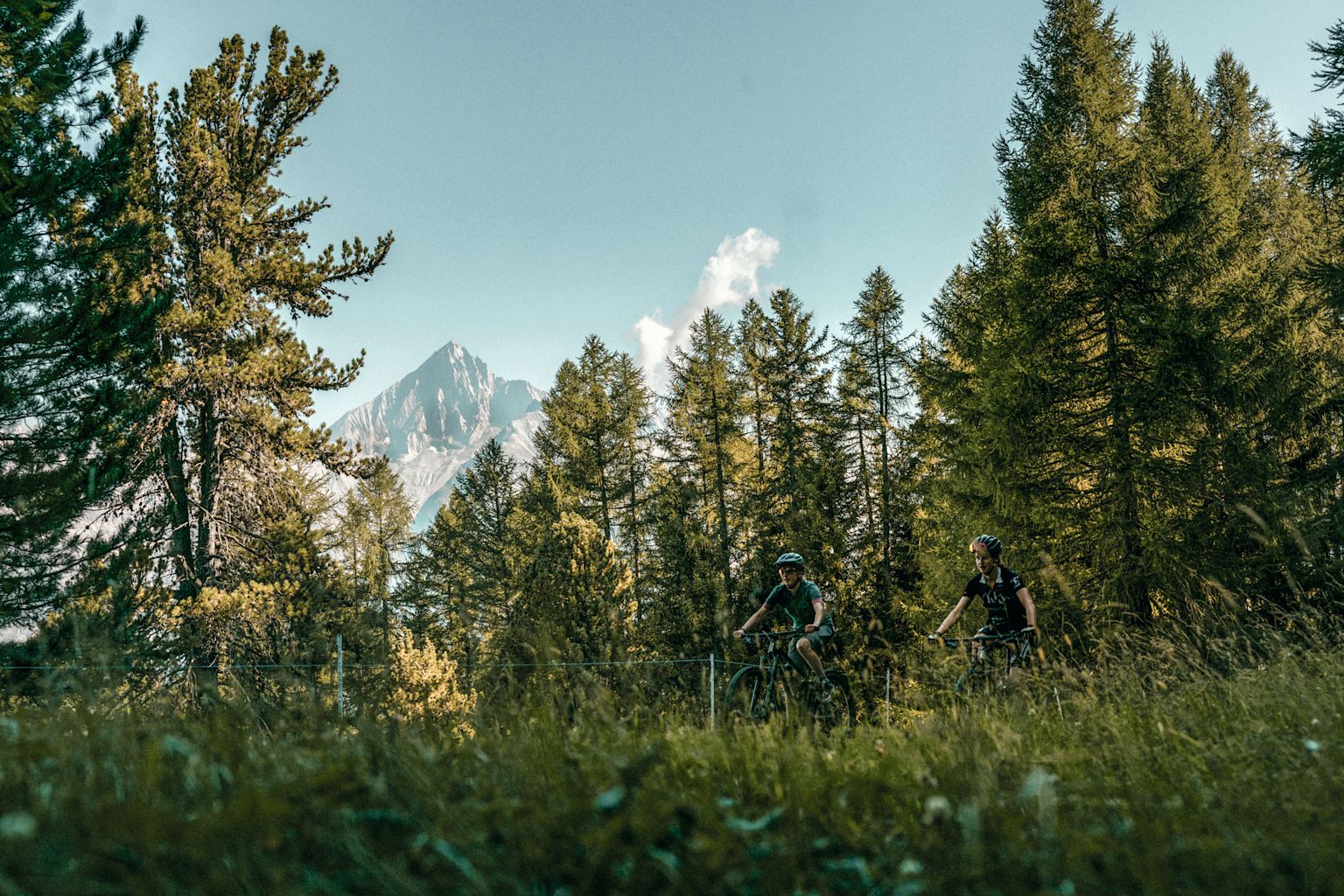 Wald in Buerchen, wo der Valais Alpine Bike verläuft. Wallis, Schweiz.