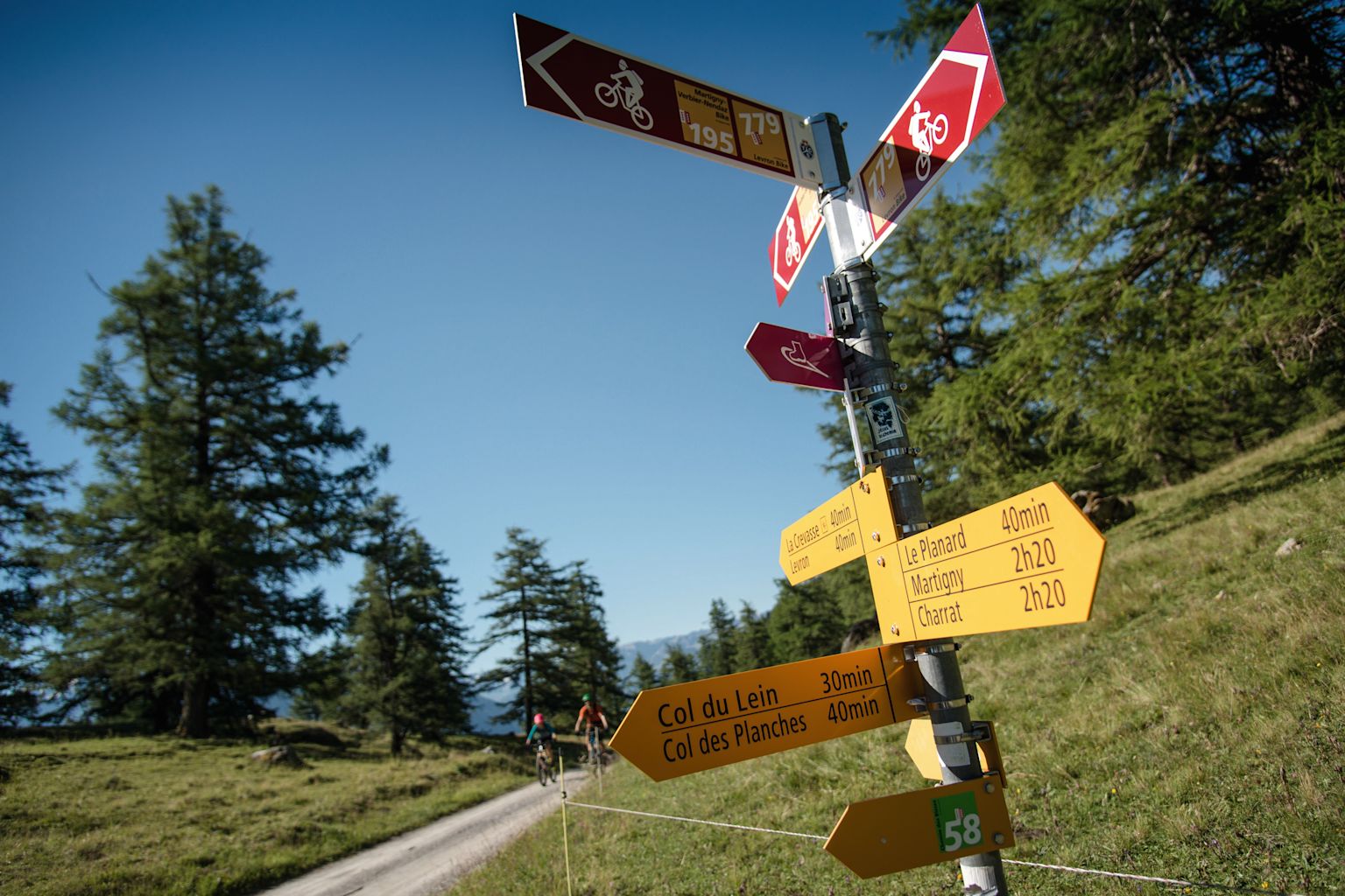 Signpost for hikers and mountain bikers at Col du Lein with view of the forest path, Valais, Switzerland
