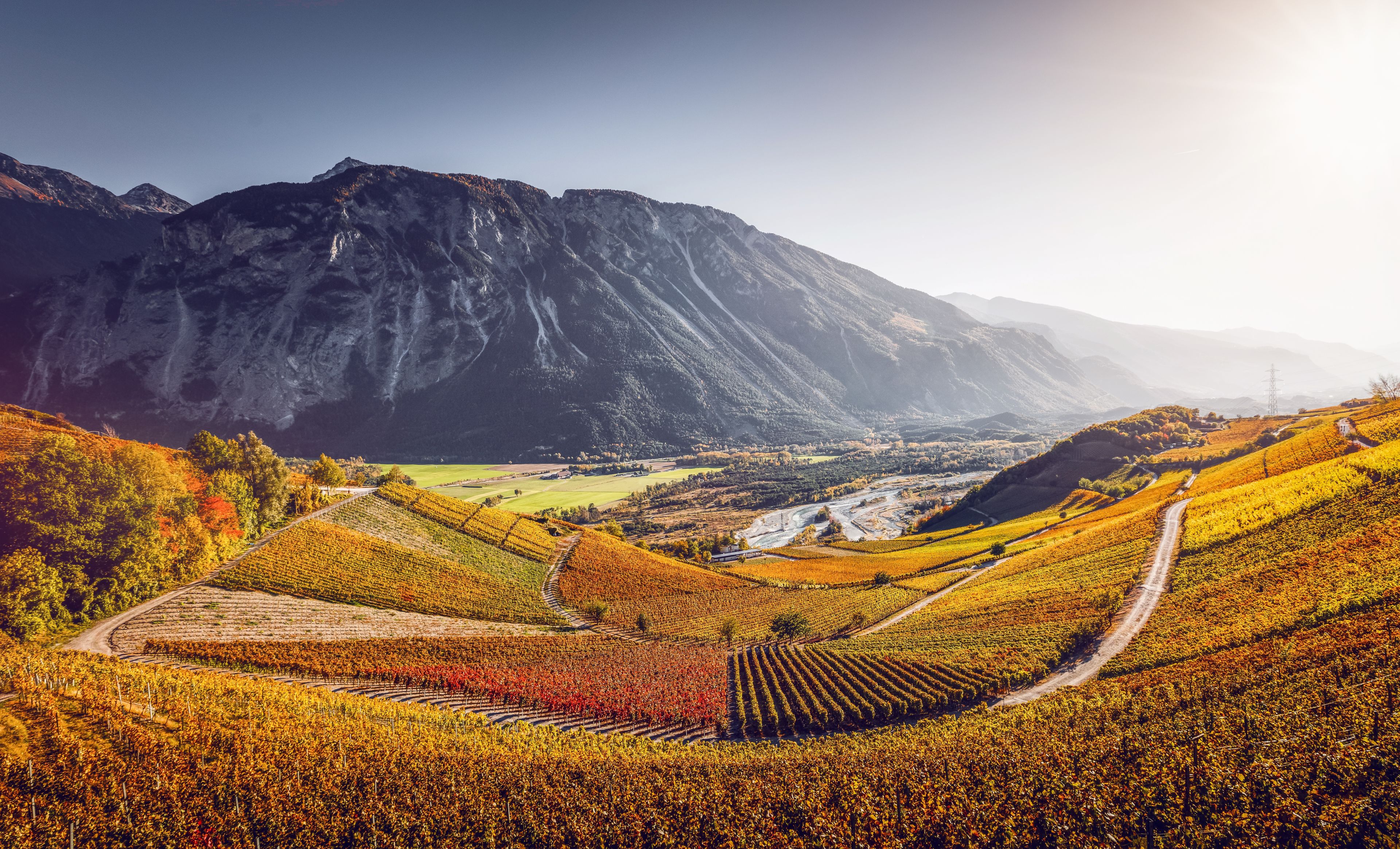 wine tourism, Marathon of Taste, Valais, Switzerland