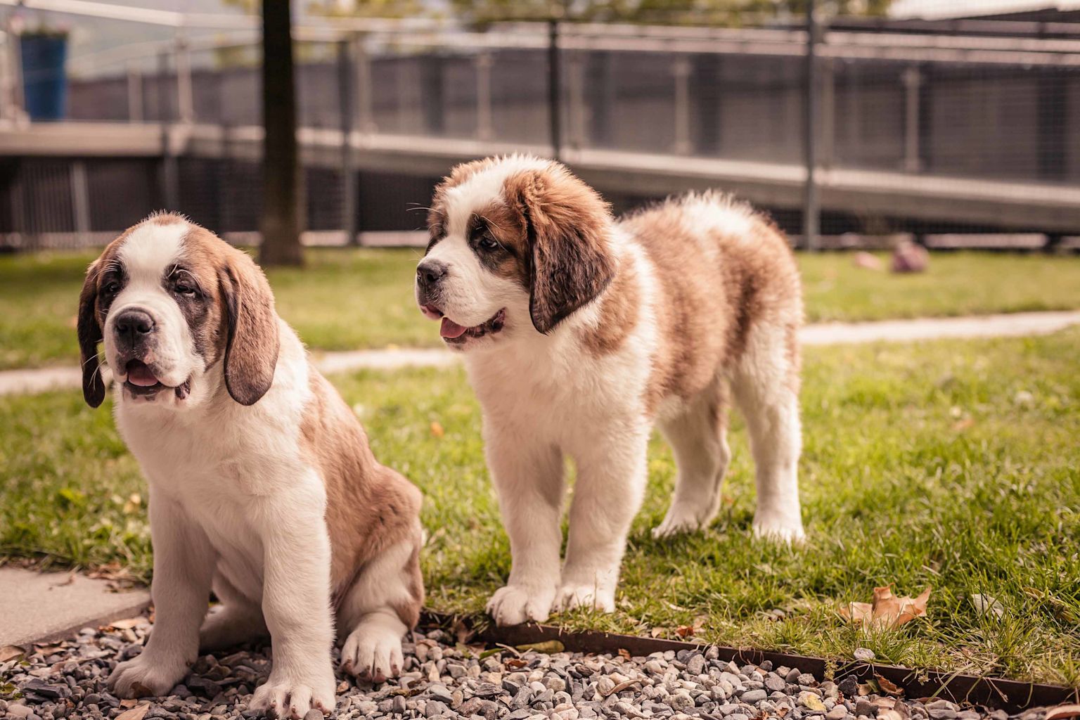 Barryland, Sehenswürdigkeiten im Wallis, Wallis, Schweiz