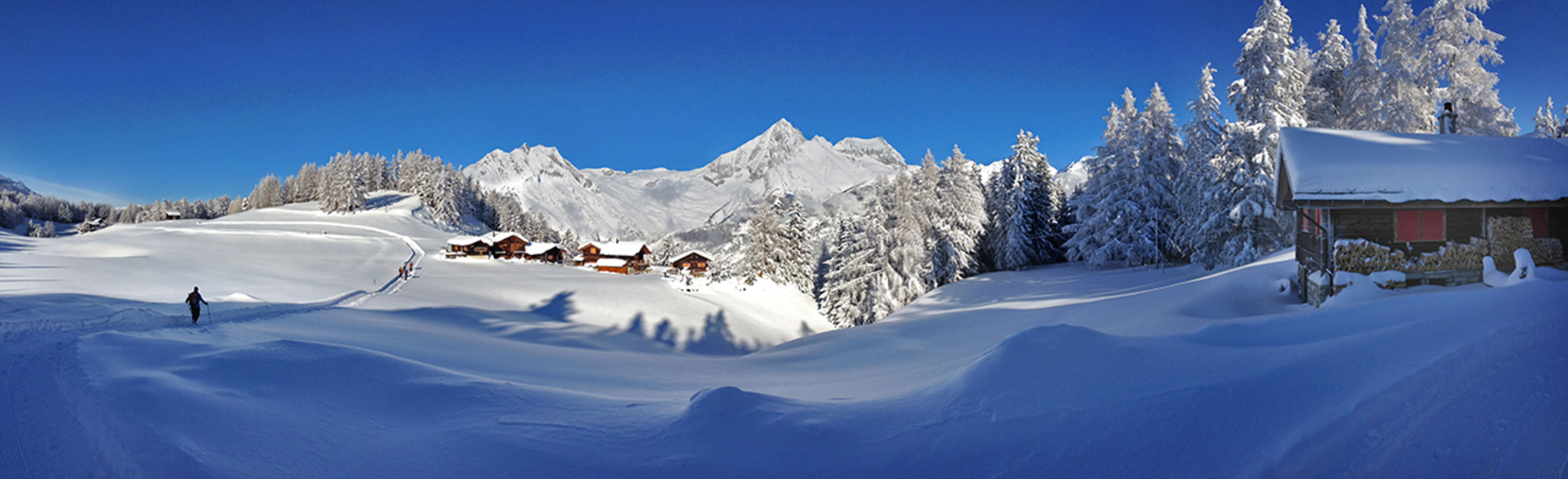 Moosalpregion during winter, Valais