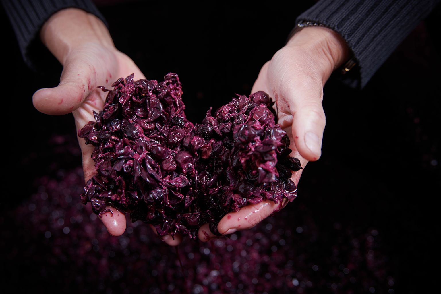 Madeleine stirs in the mash. Then the grapes are pressed and the pomace, the residue, is separated from the grape must, Valais, Switzerland.
