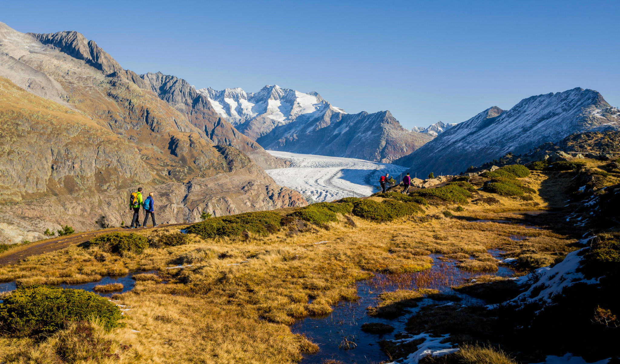 Die Leute wandern zum Aletschgletscher, der Anblick ist besonders im Herbst mit seinen schönen Farben herrlich.
Wallis, Schweiz.