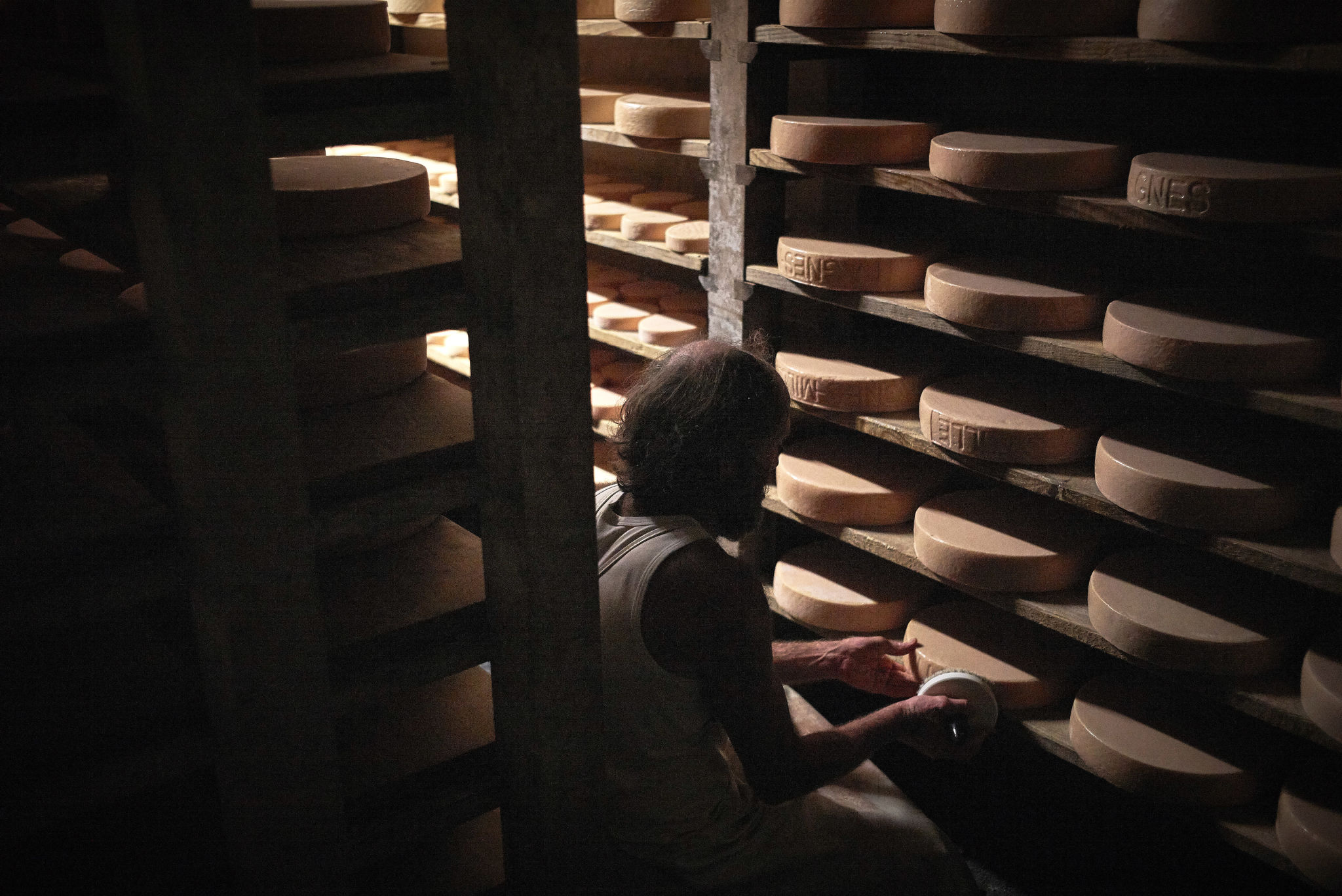 Maturing of raclette cheeses, Valais, Switzerland