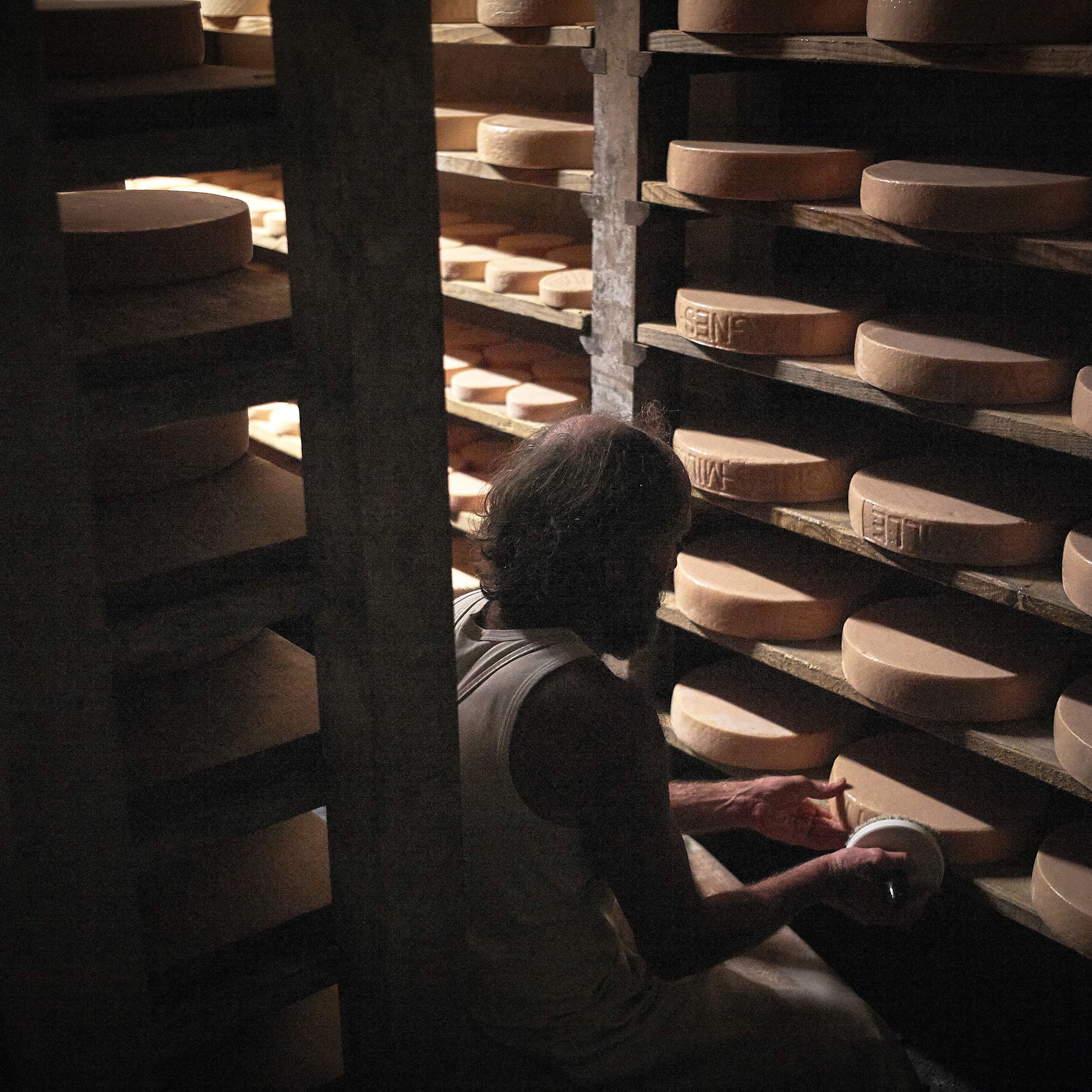 Reifung von Raclettekäse, Wallis, Schweiz