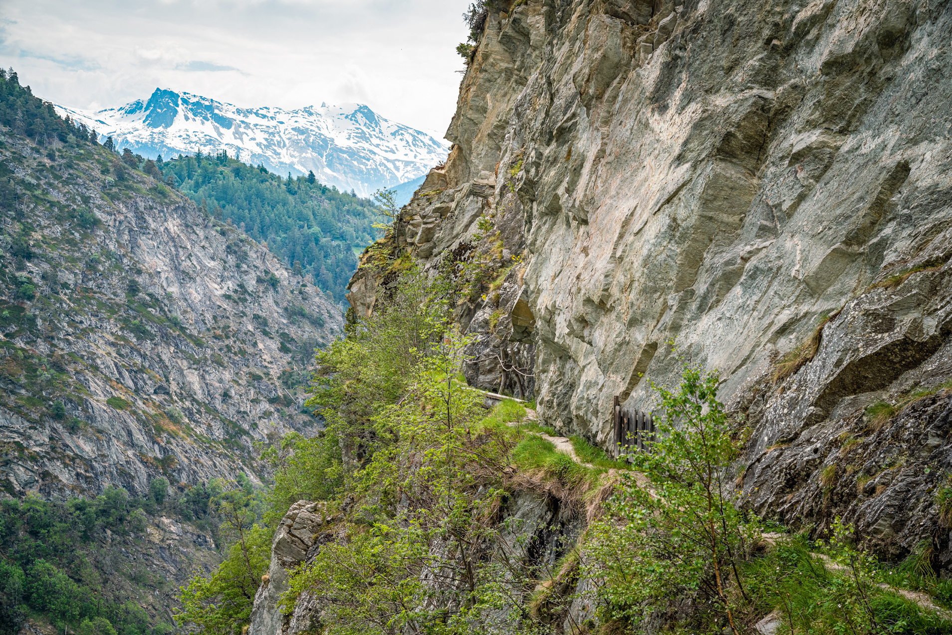Le Bisse exposé sur la paroi rocheuse dans le Baltschiedertal.