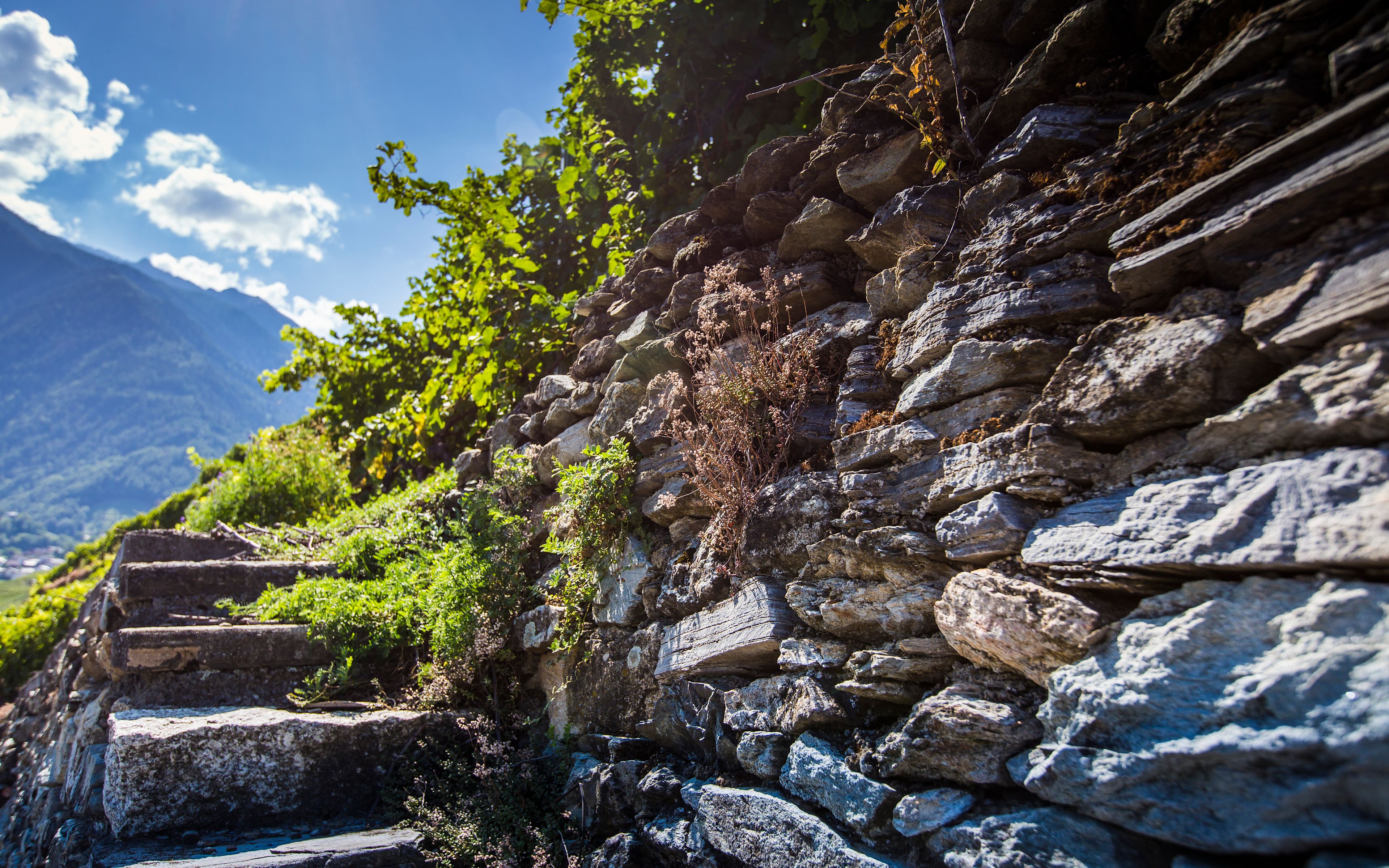 Mur en pierre, œnotourisme, vins, Valais, Suisse.