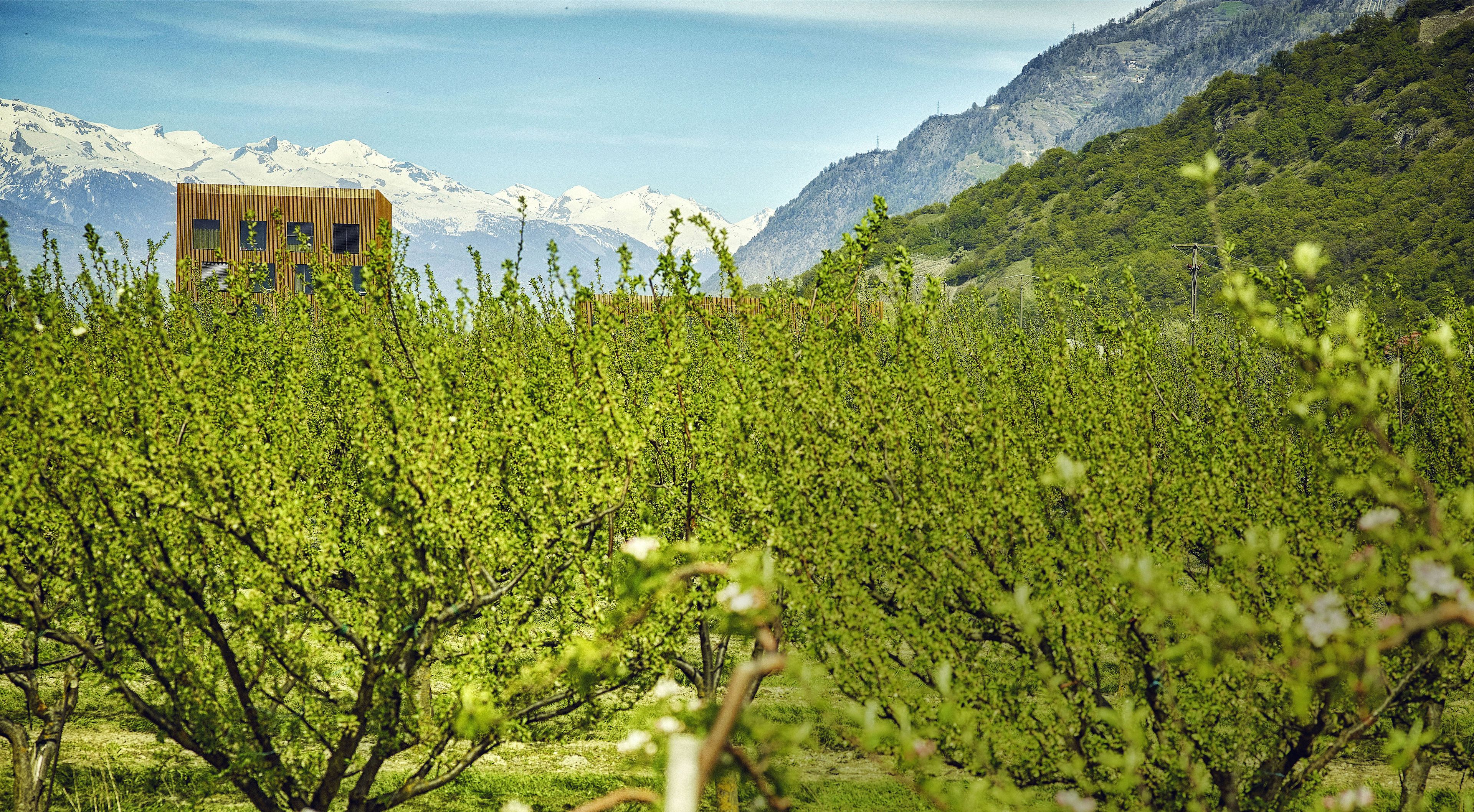 Architecture Symbiose Fully