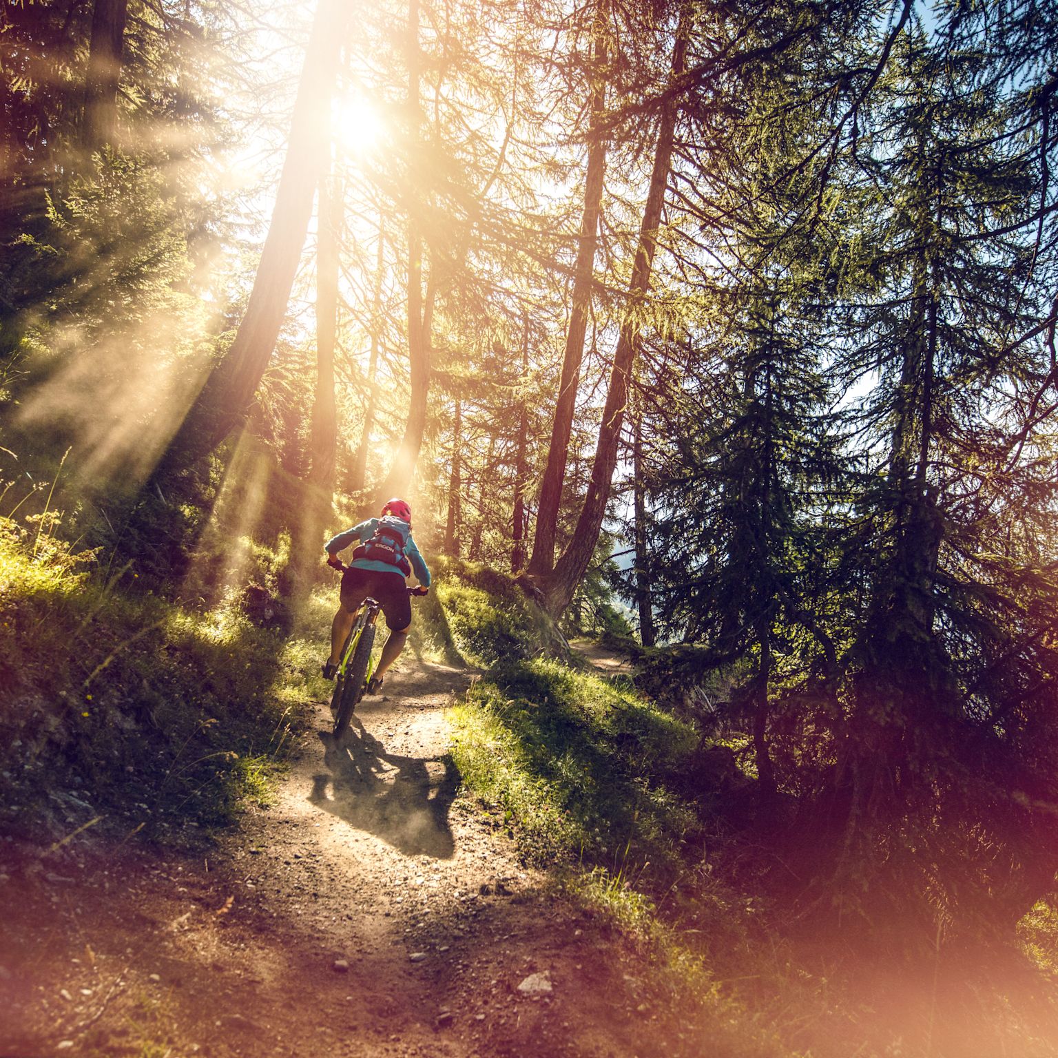 VTT, Loèche-les-Bains. Valais, Suisse