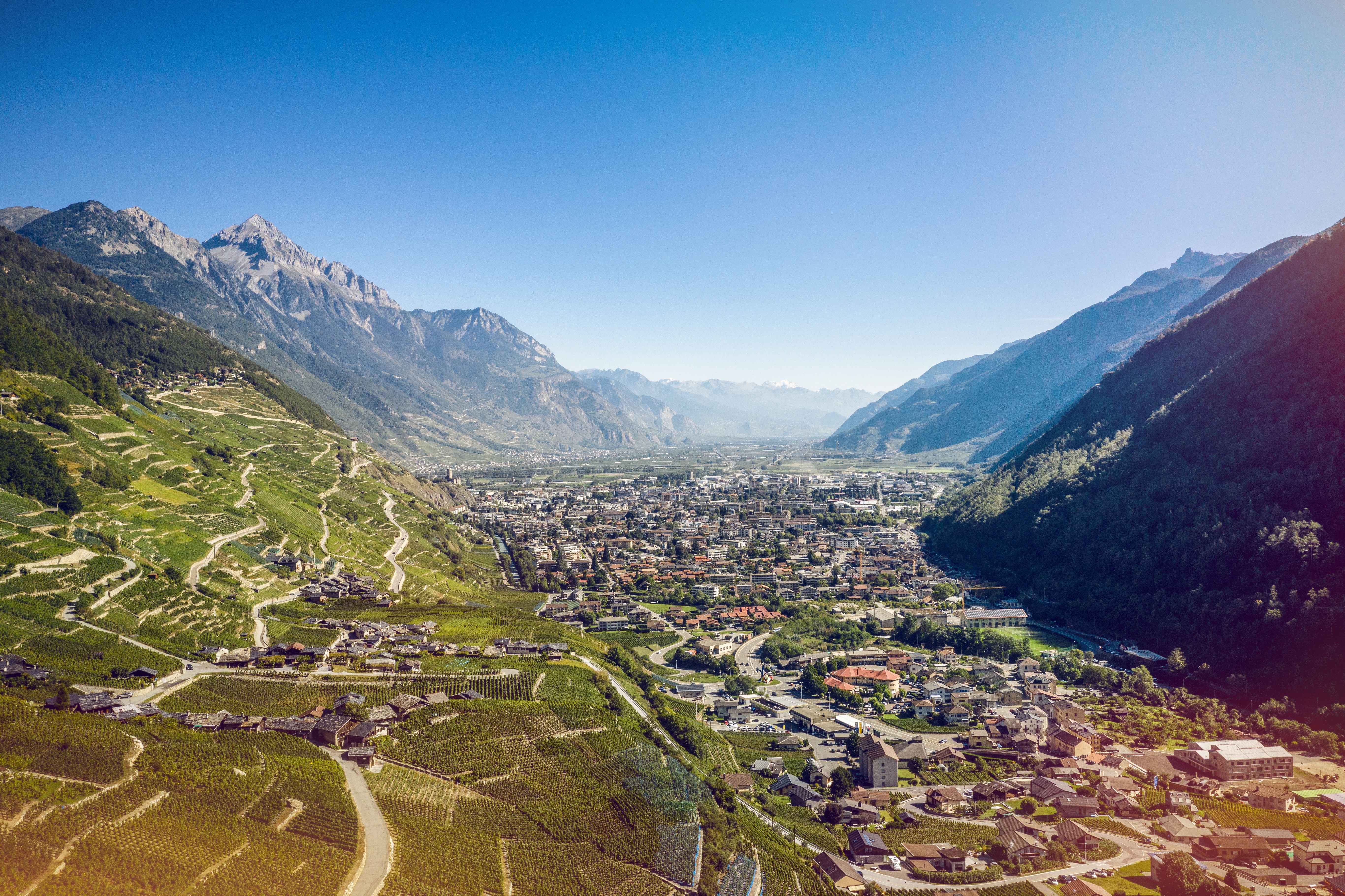 Martigny, Vignes, été, Valais, Suisse