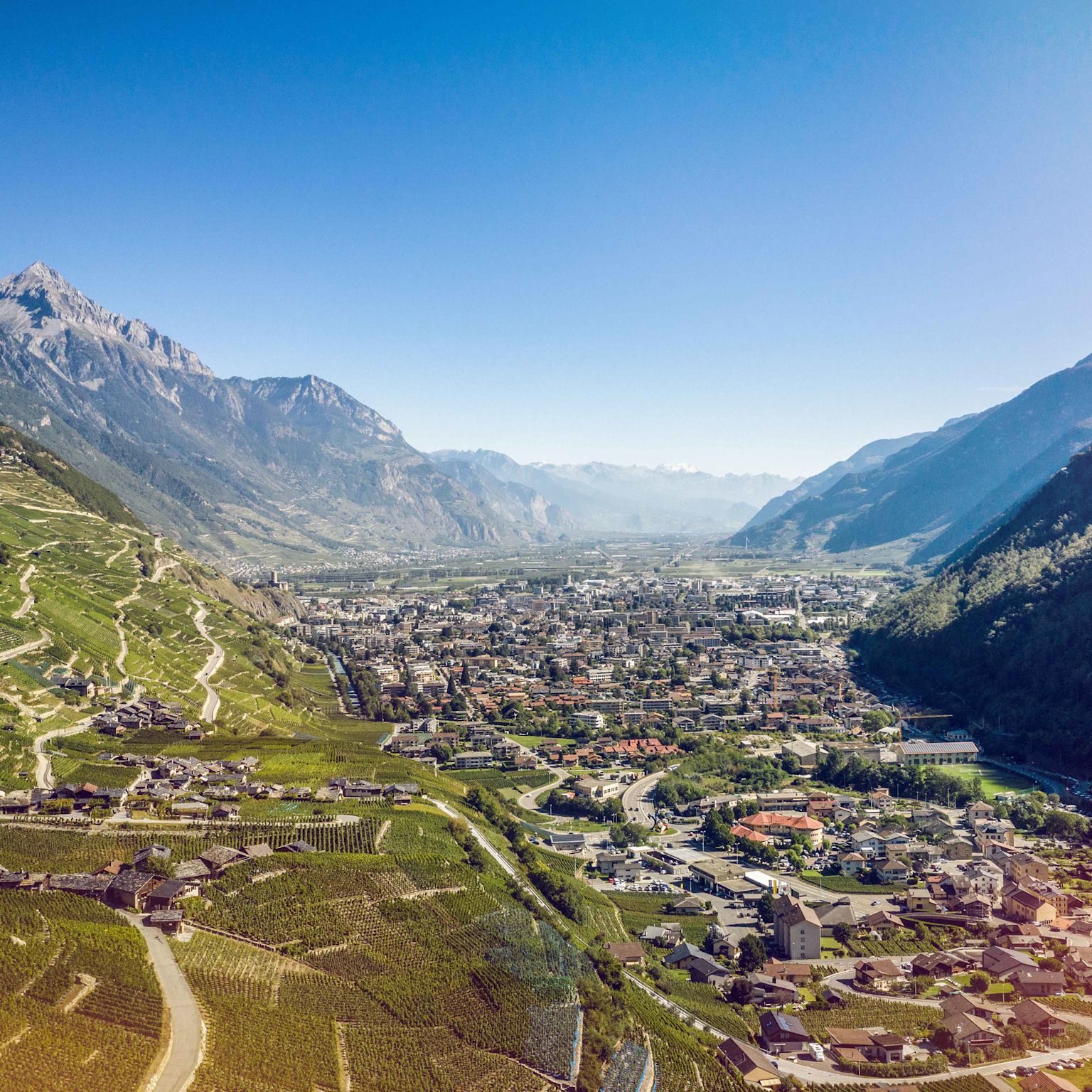 Martigny, Vignes, été, Valais, Suisse