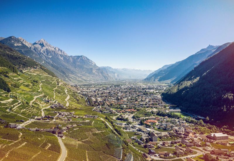 Martigny, Vignes, été, Valais, Suisse