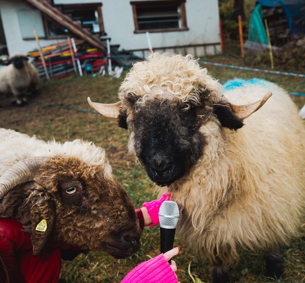 Zermatt Unplugged, Winter, Wallis