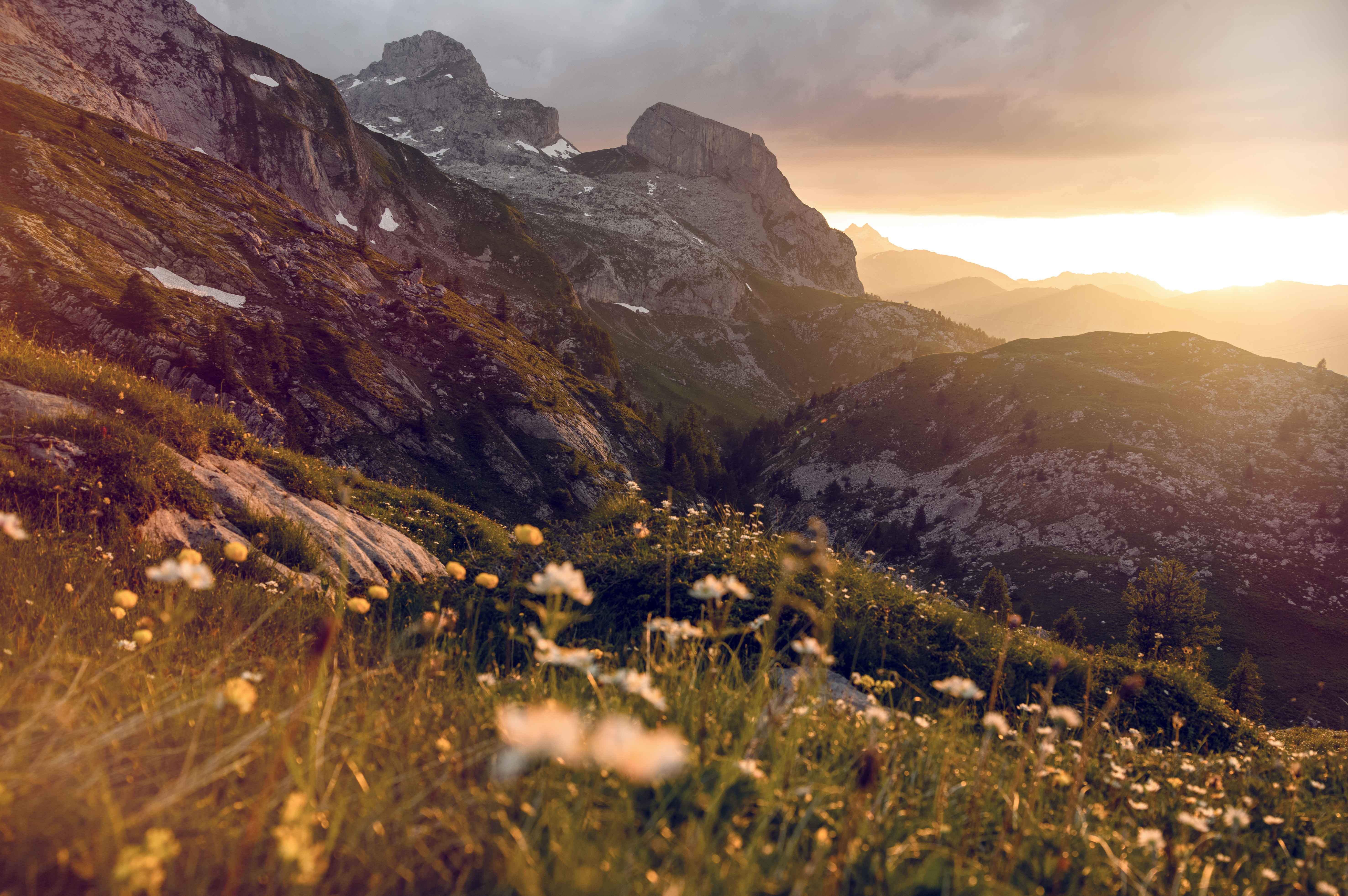 Sonnenuntergang auf einer Wiese auf dem Sanetschpass, Wallis, Schweiz