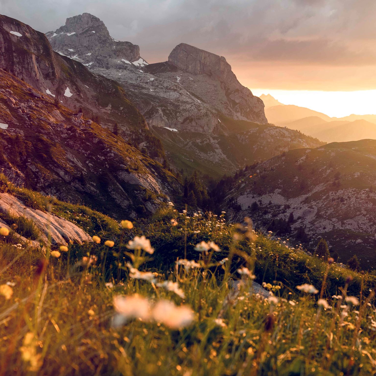 Sonnenuntergang auf einer Wiese auf dem Sanetschpass, Wallis, Schweiz