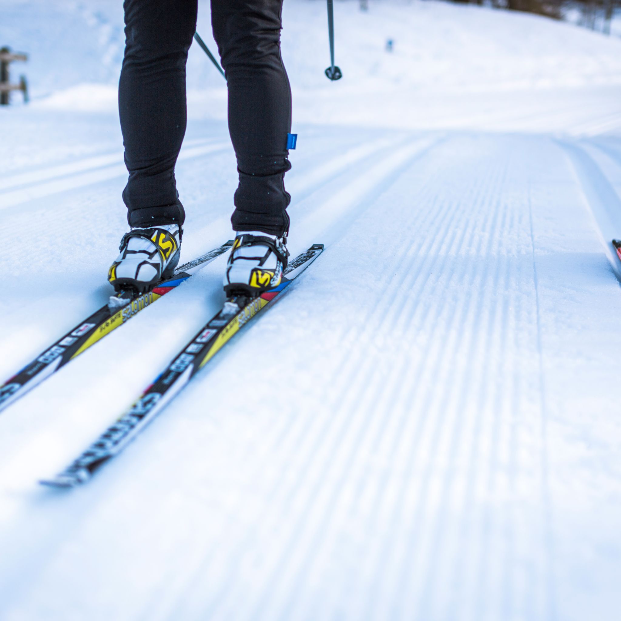 Ski de fond, Conches: glisser à l’infini