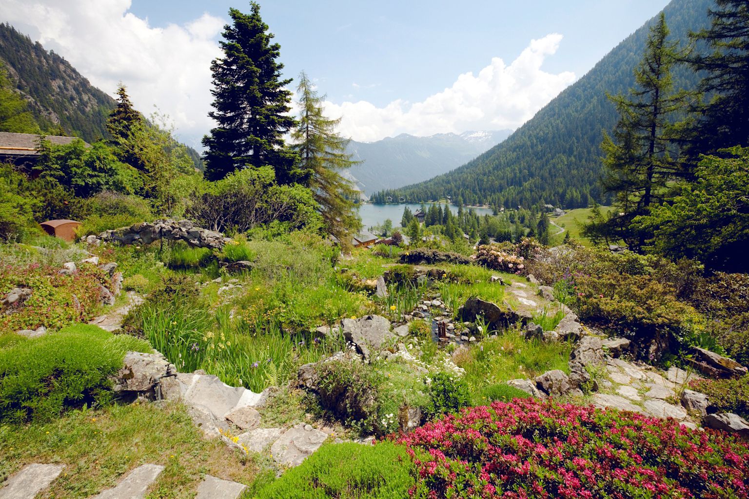 Sentiers découverte, été, Valais