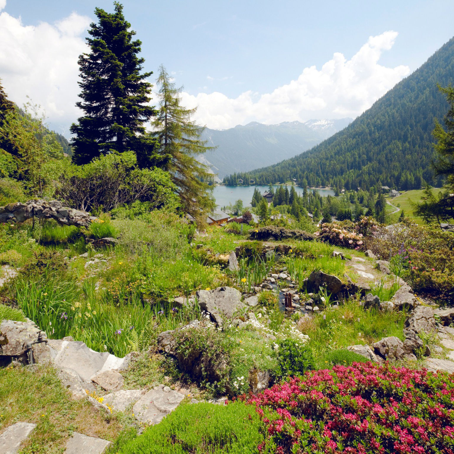 Sentiers découverte, été, Valais