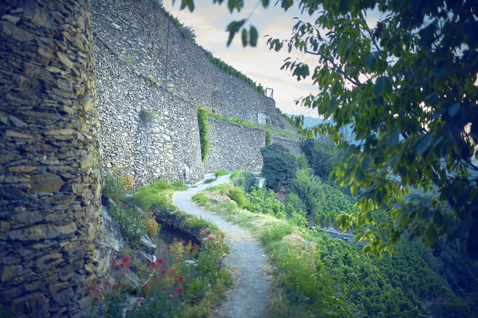 Bisse de Clavau in Sion, Valais