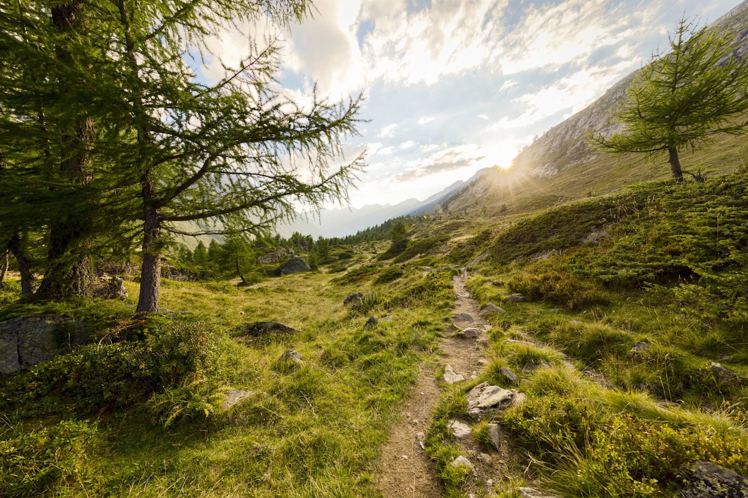 Hiking trail in Lötschental, summer in Valais, Switzerland