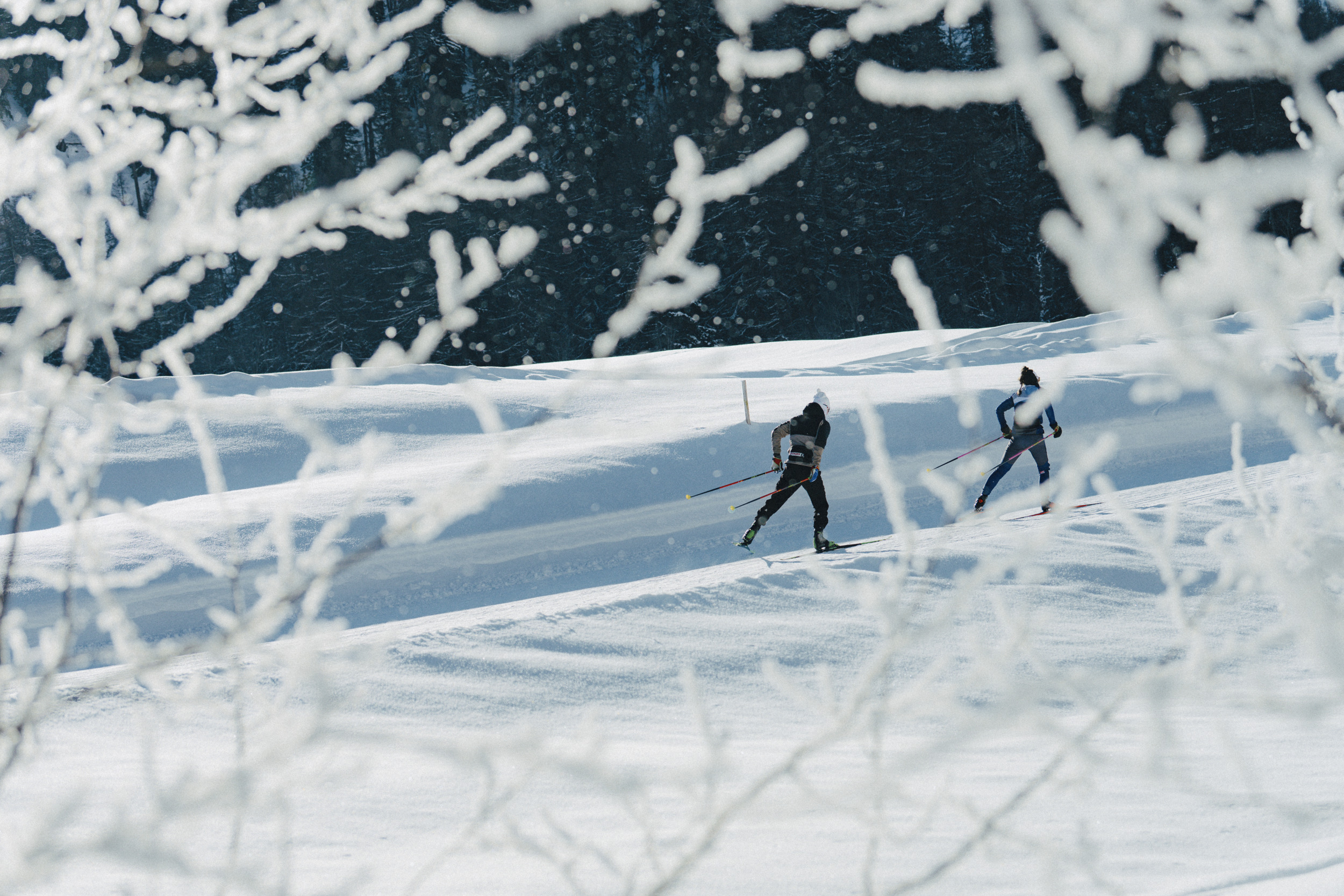 Des skieurs de fond traversent un paysage givré à Goms, encadré de branches couvertes de givre