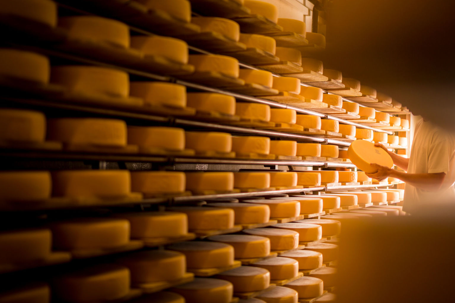 Cheese Valais brand Wallis Schweiz Switzerland Suisse