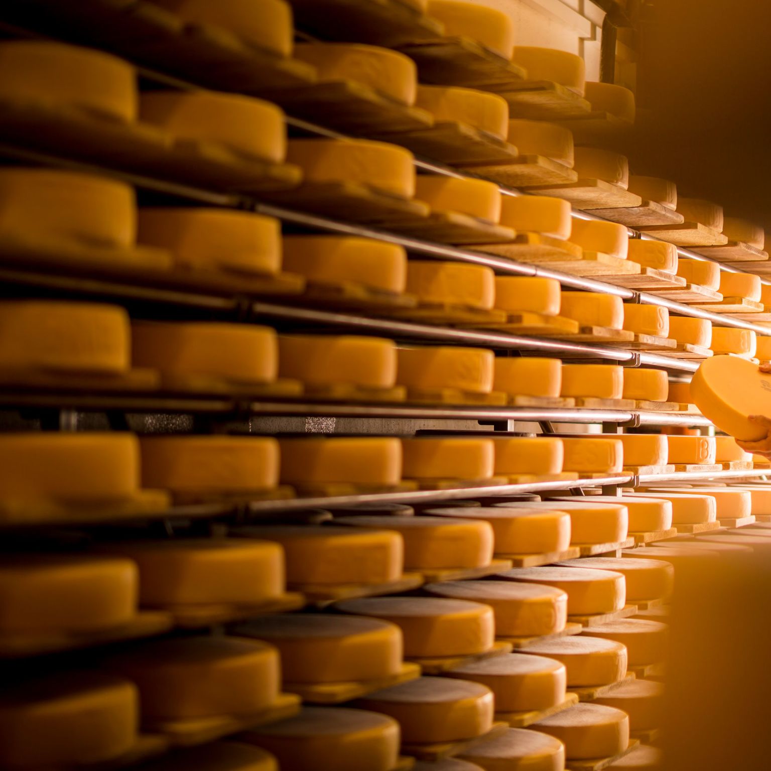Cheese Valais brand Wallis Schweiz Switzerland Suisse