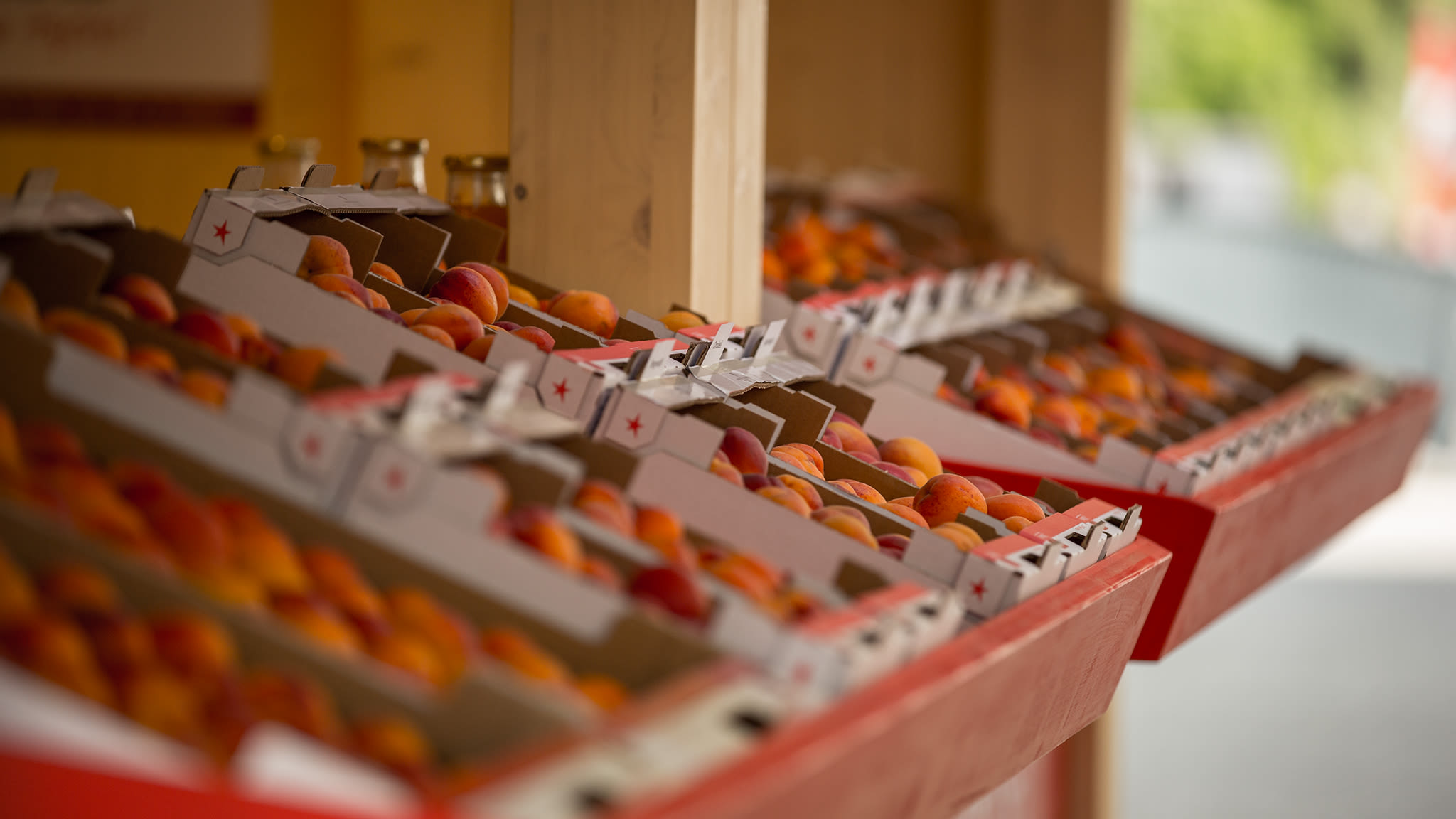 La marque Valais garantit la provenance et la qualité des abricots.