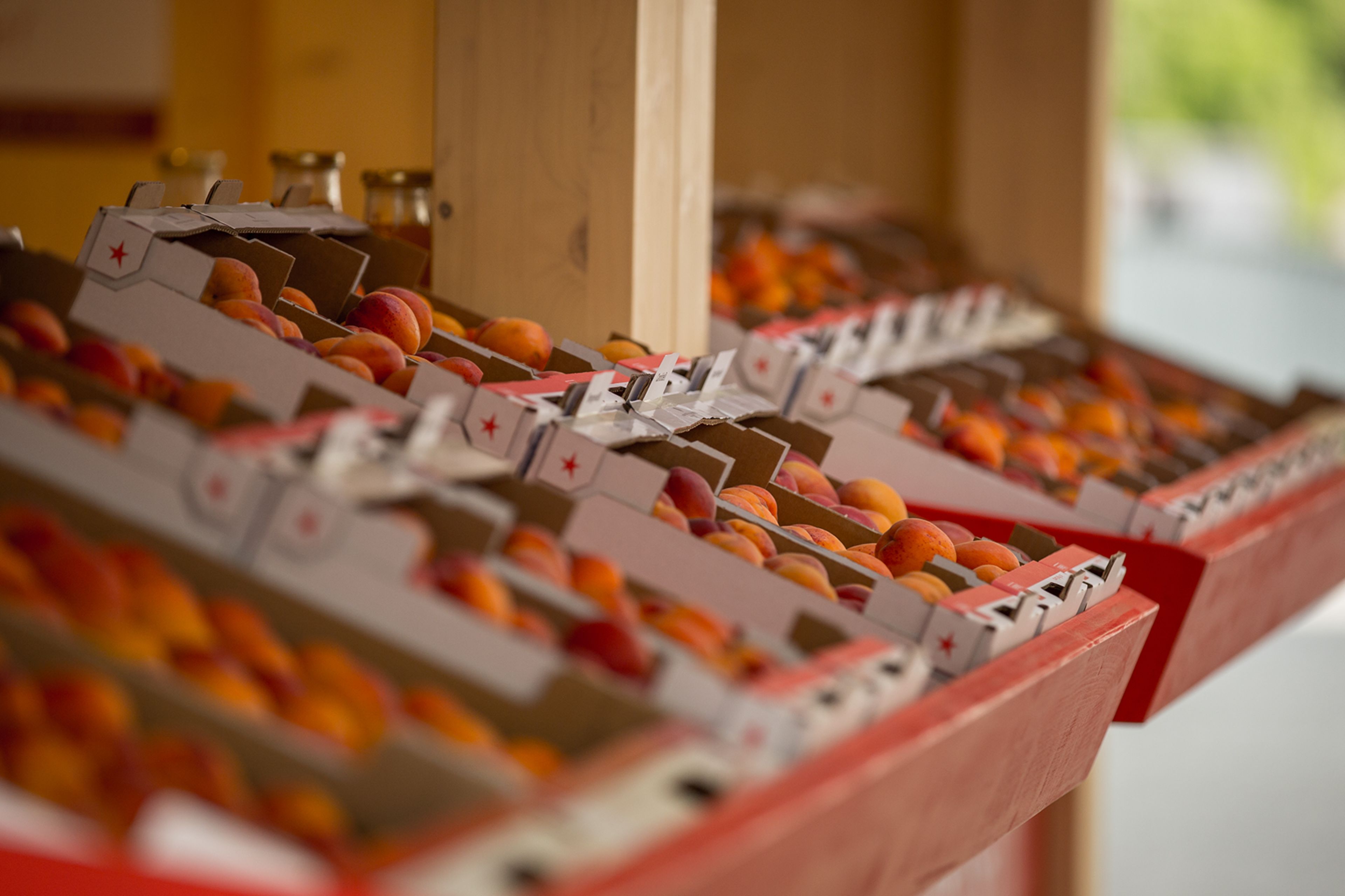 La marque Valais garantit la provenance et la qualité des abricots.