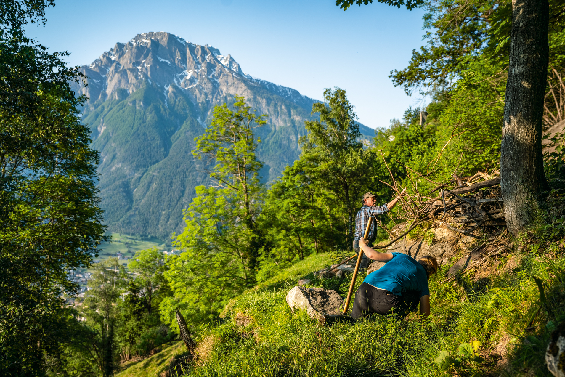 Famille d'agriculteurs biologiques Schmid cultivant et irriguant traditionnellement leur champ en pente.