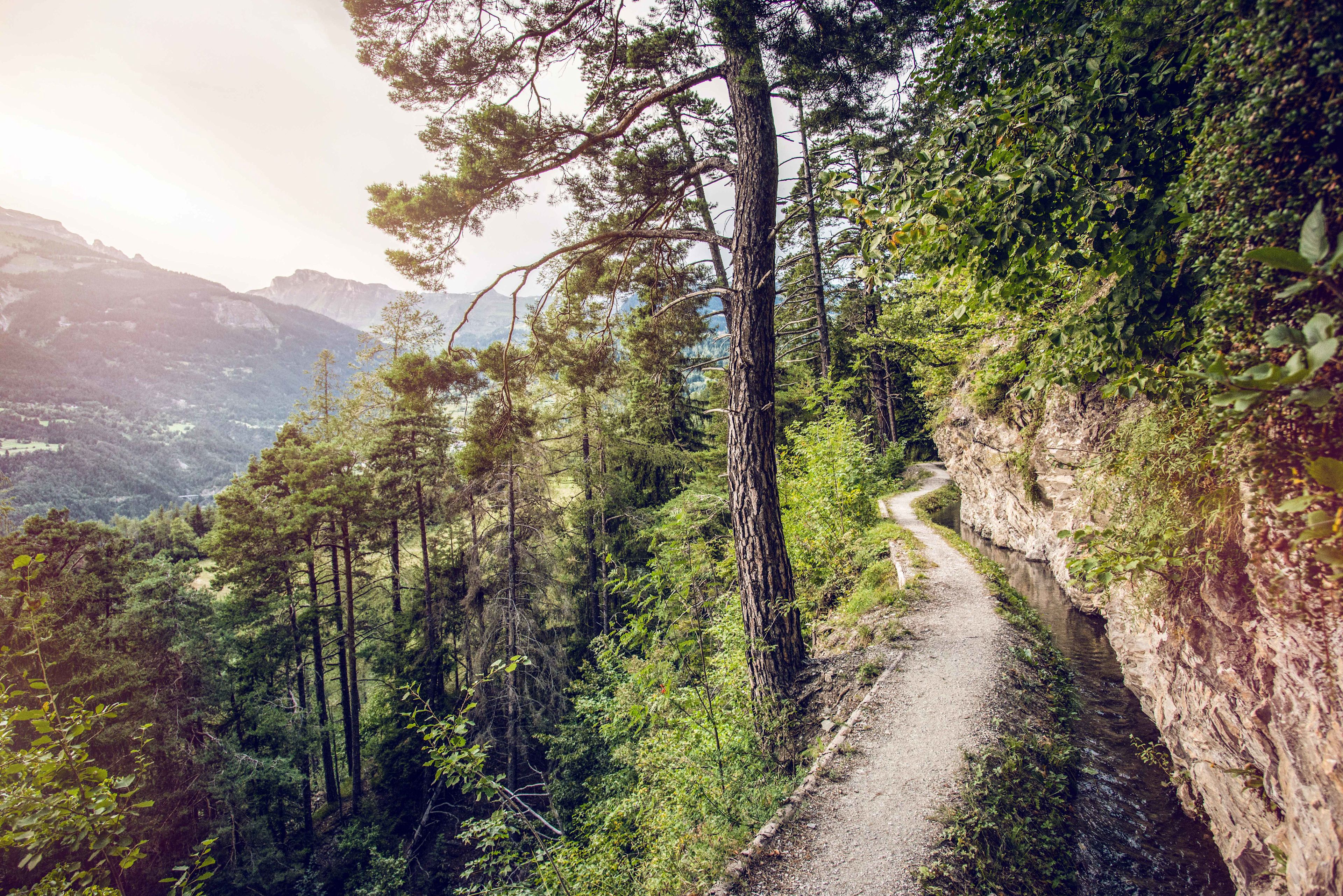 A hiking trail in Bisses during the summer, Valais, Switzerland