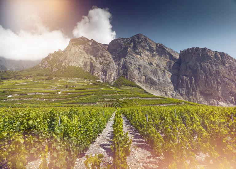 Vignobles de Chamoson, oenotourisme, vin, Valais, Suisse