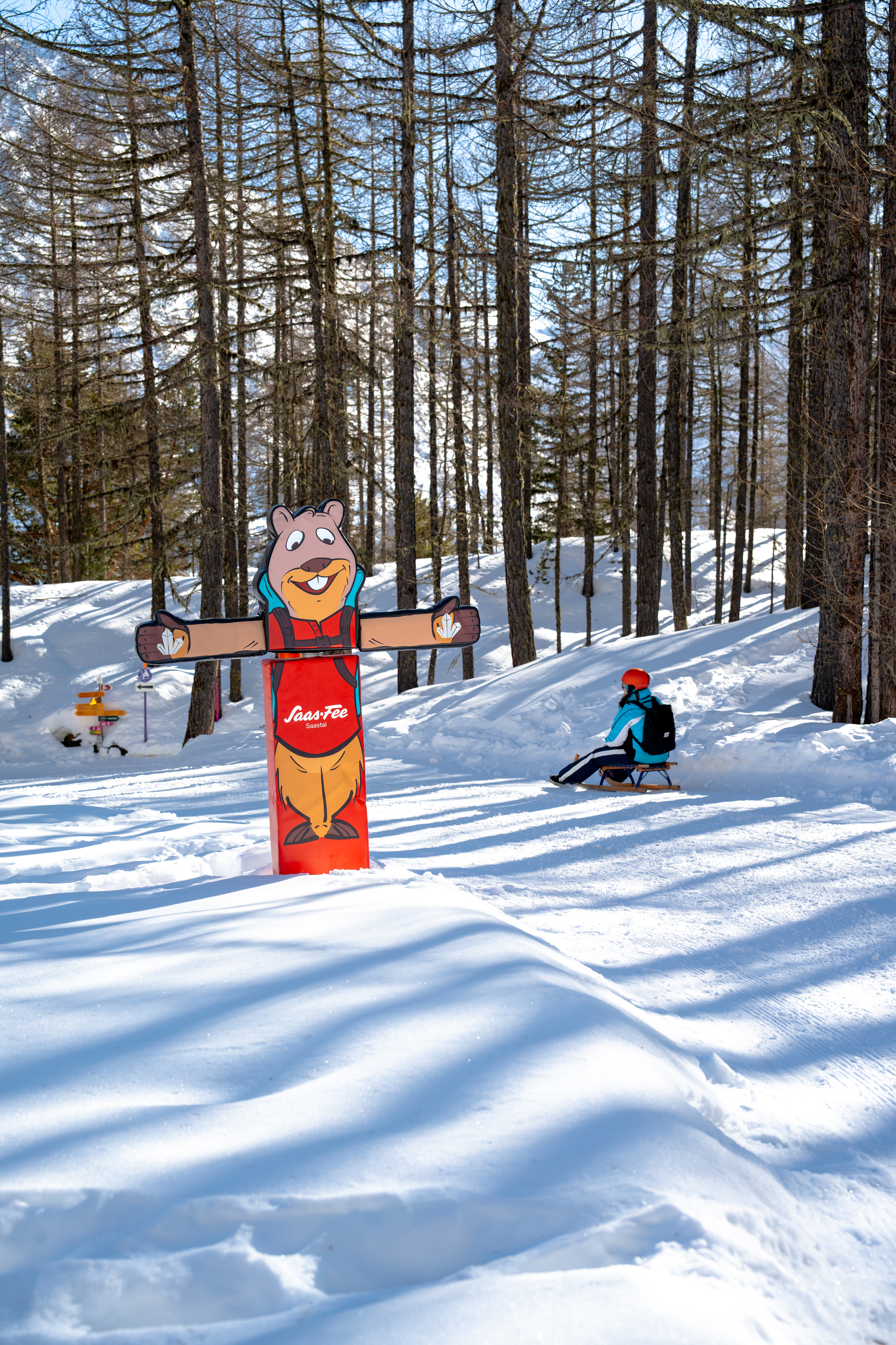 Marmot Eddie as a station figure on the interactive sledding run Hannig in Saas-Fee, Valais, with a sledder in the background.