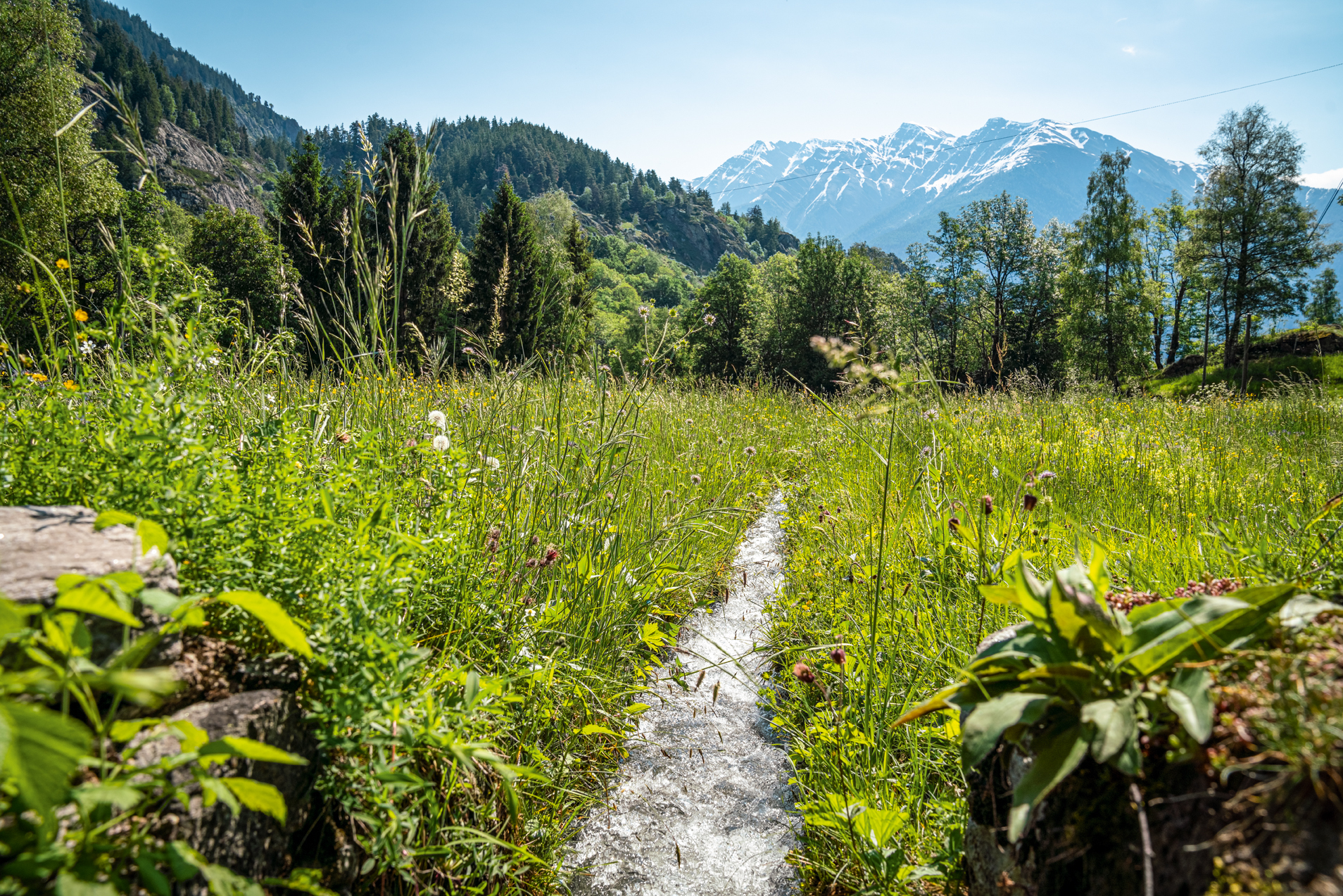 Bisse et champs irrigués près de Naters.