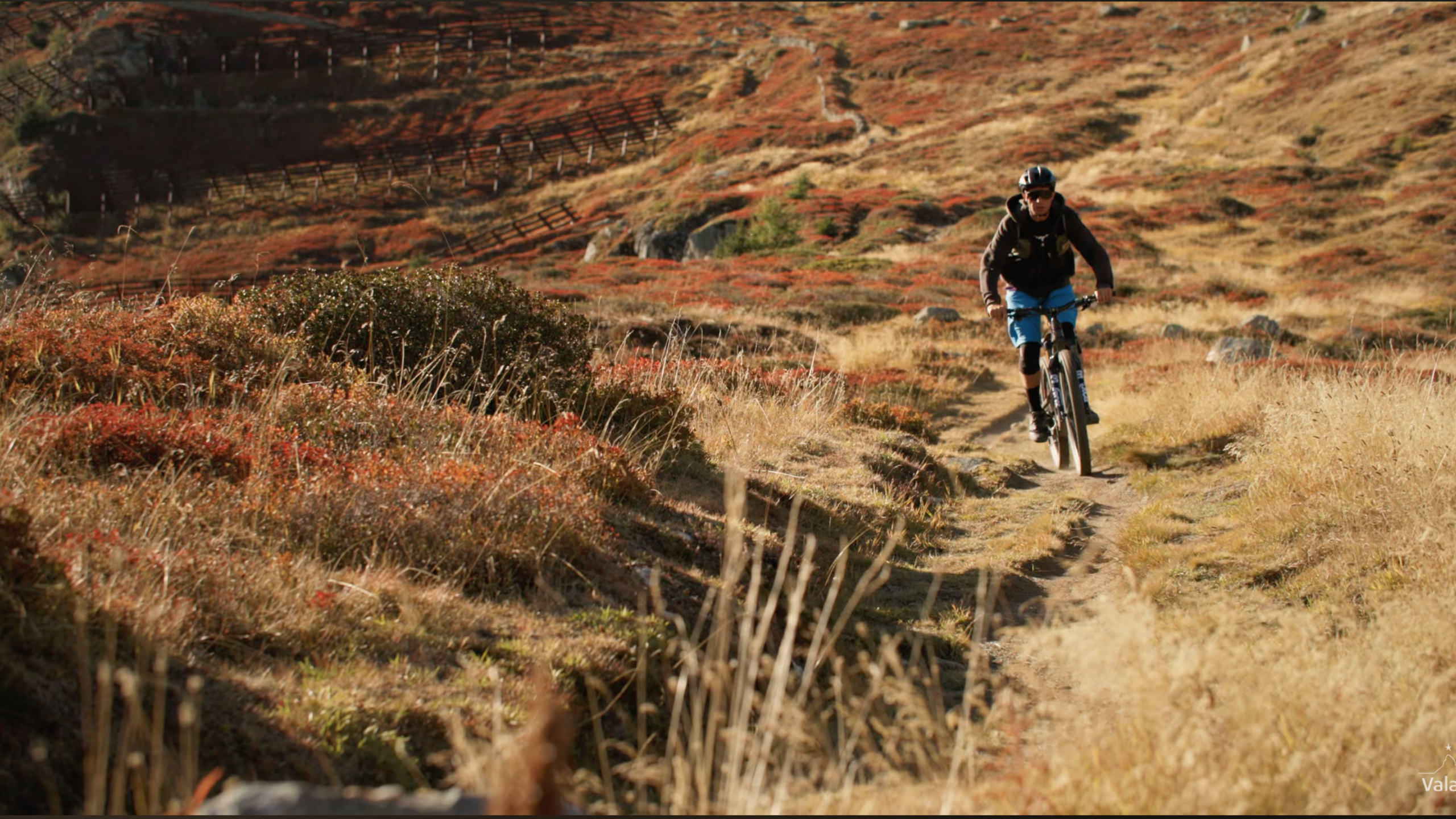 Moutainbike, VTT, Flowtrail, Galmihorn, Bike, Goms, Valais, Switzerland