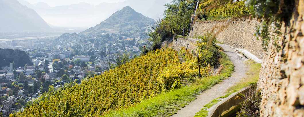 mys-Walliser Weinweg zu Fuss-Eurotrek AG - 2014_Oenotourisme_Vignoble_3_©Valais Wallis Promotion - Pascal Gertschen.jpg