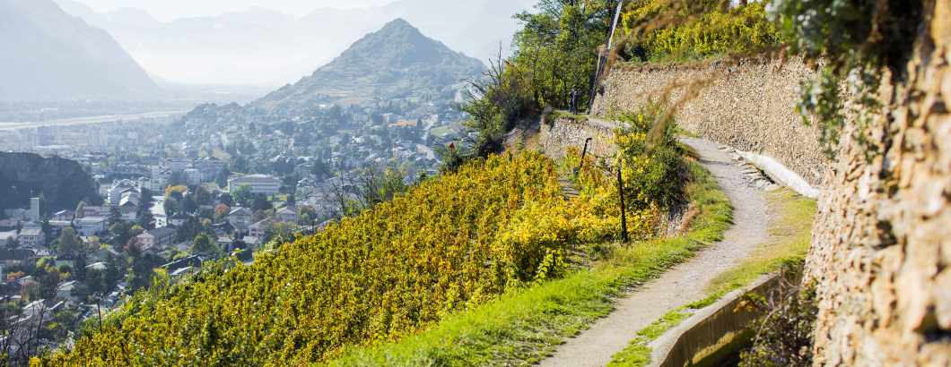 mys-Valais vineyard trail on foot-Eurotrek AG - 2014_Oenotourisme_Vignoble_3_©Valais Wallis Promotion - Pascal Gertschen.jpg