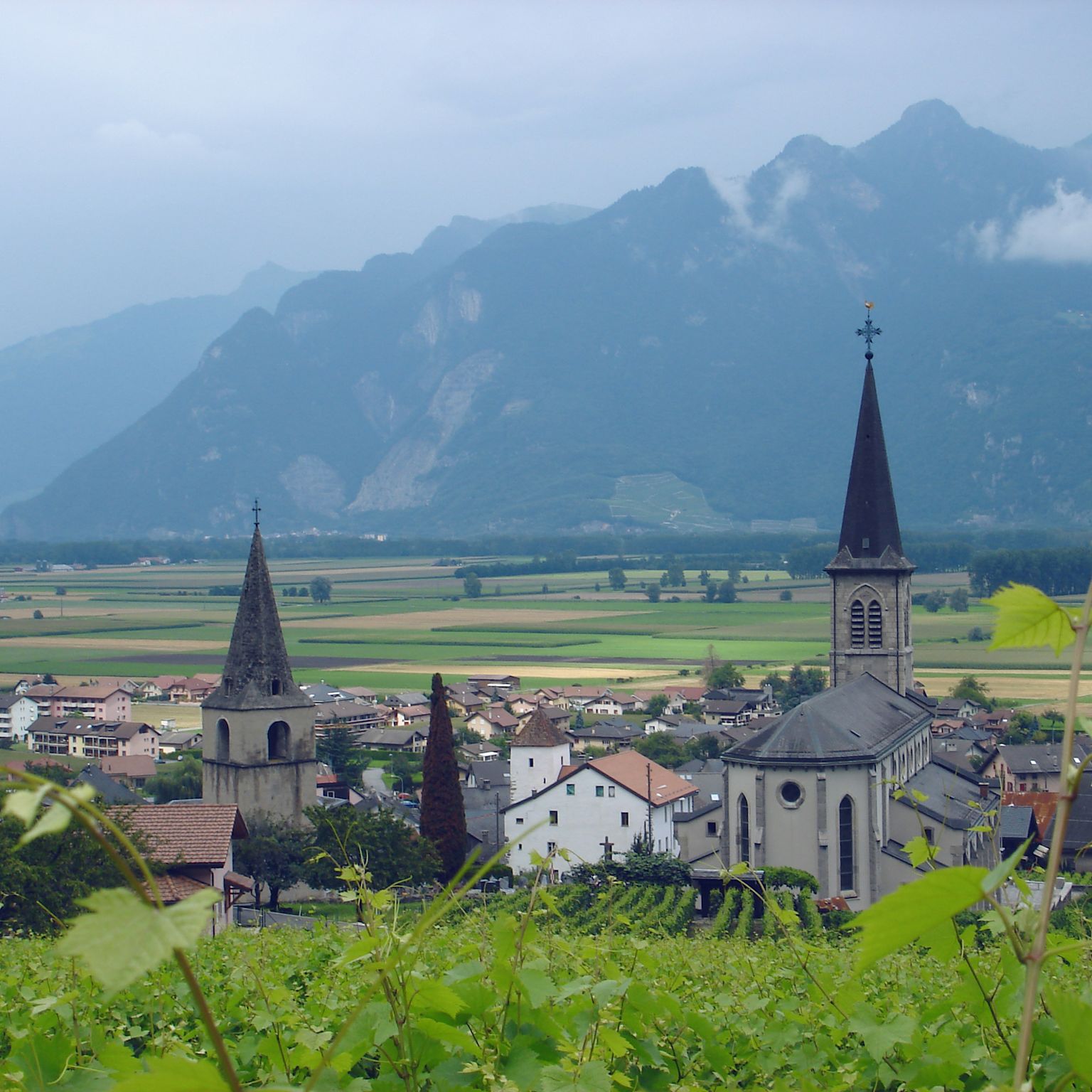 Village Vionnaz during summer, Valais