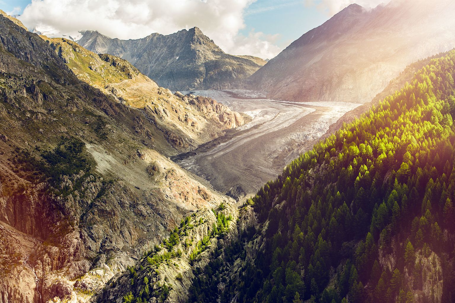 Aletschgletscher mit Nordflanke Eggishorn, Aletsch Arena, Wallis